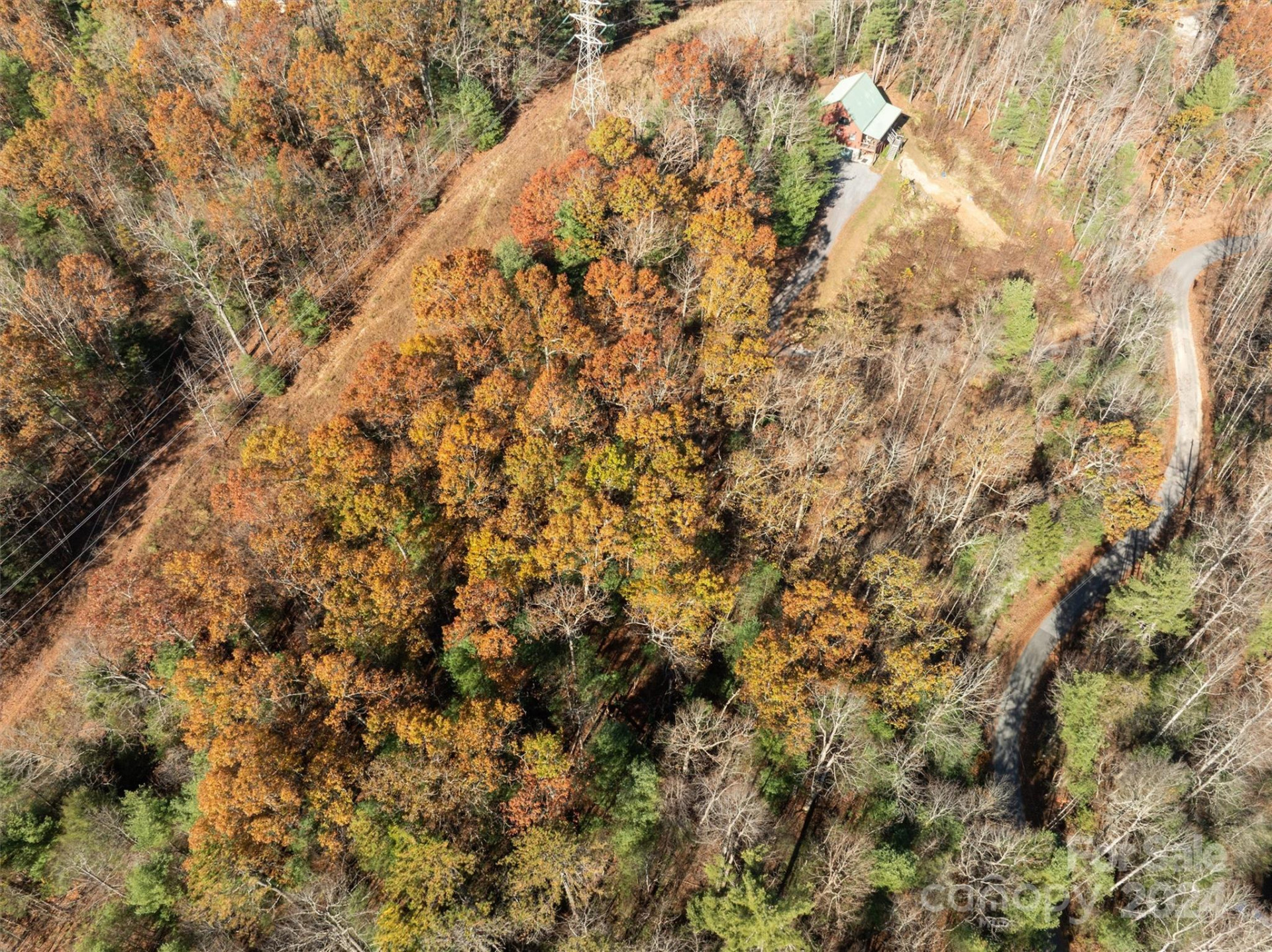 99999 Big Raven Lane - Photo 12