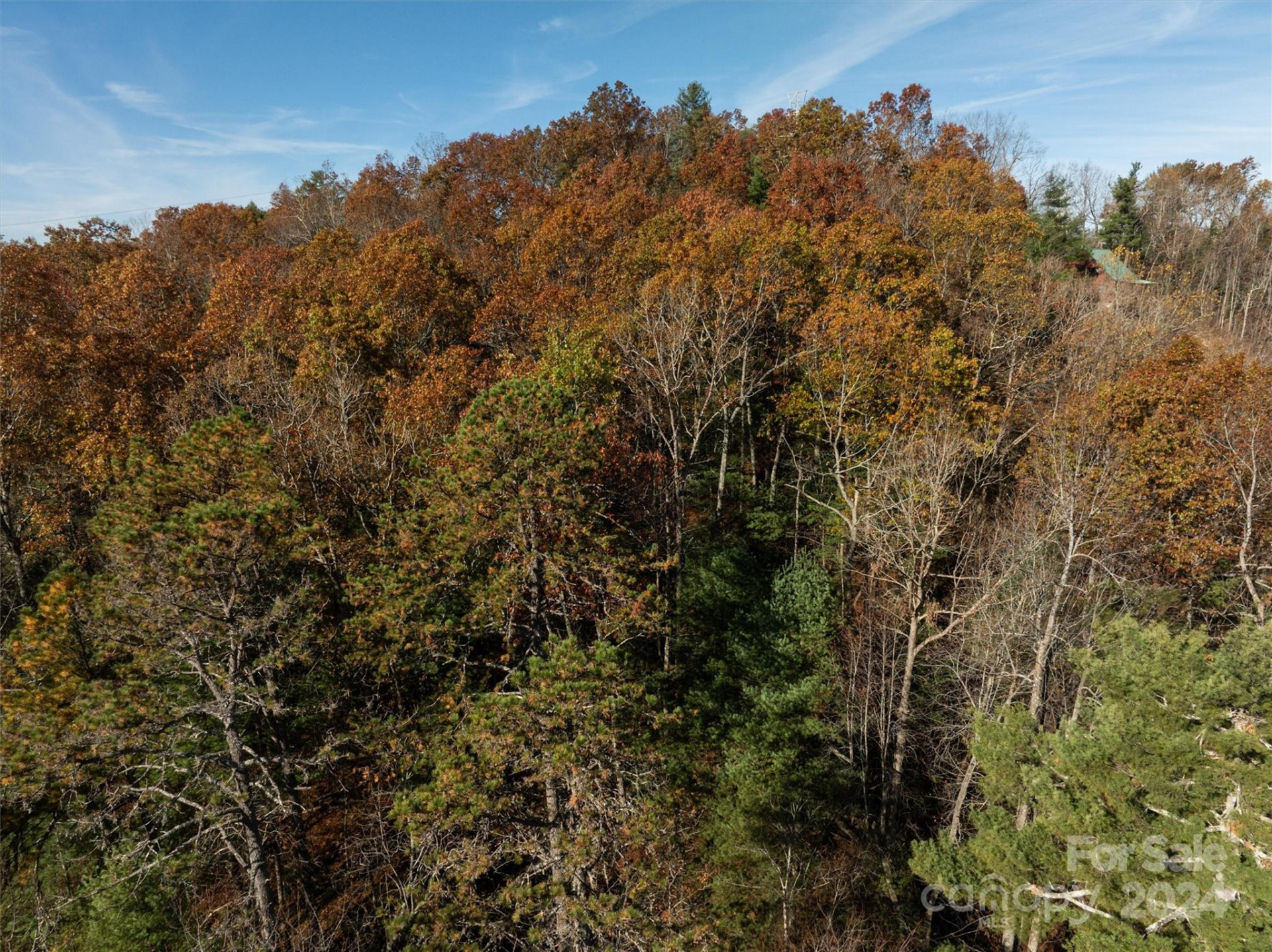 99999 Big Raven Lane - Photo 13