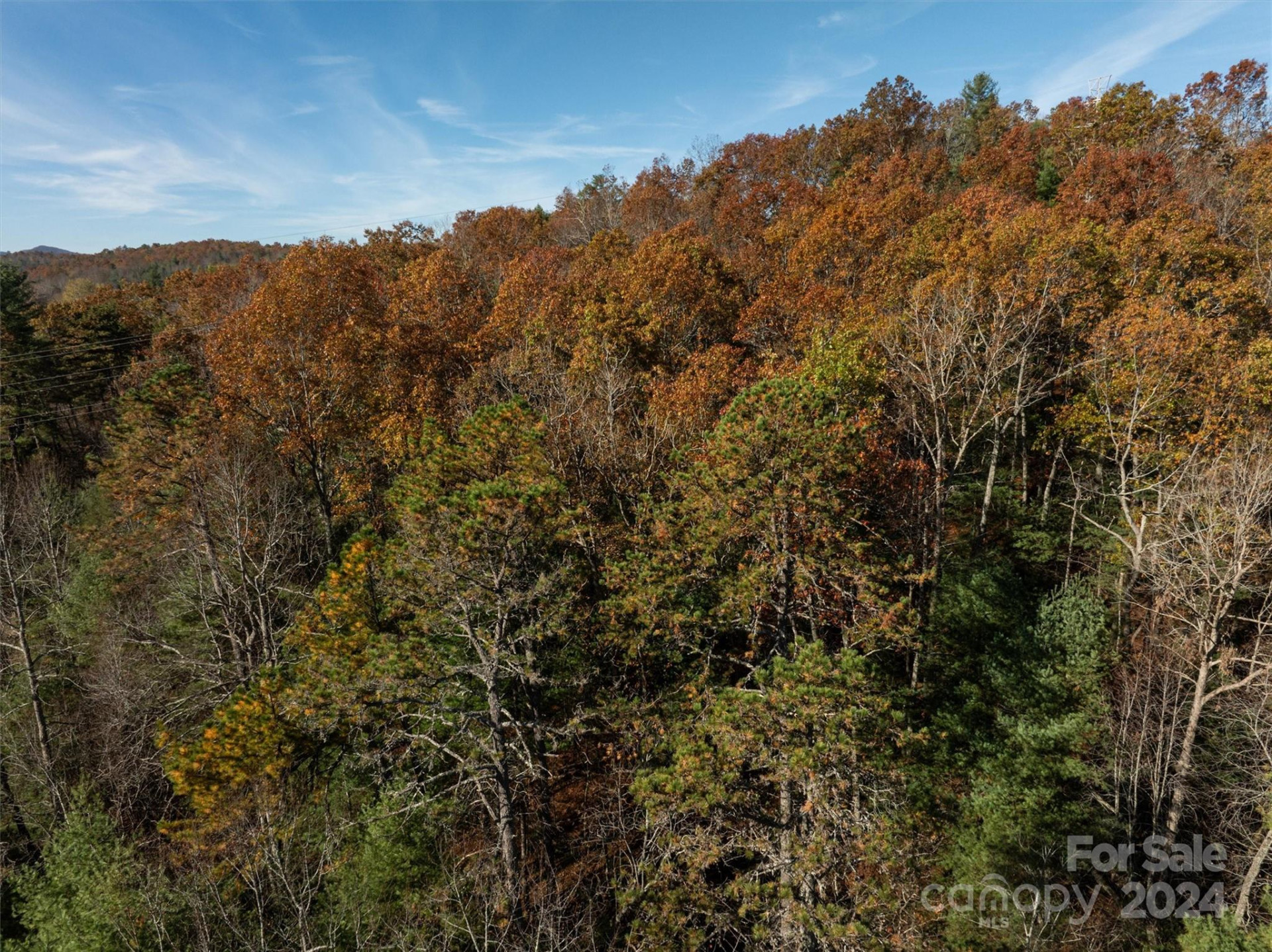 99999 Big Raven Lane - Photo 14