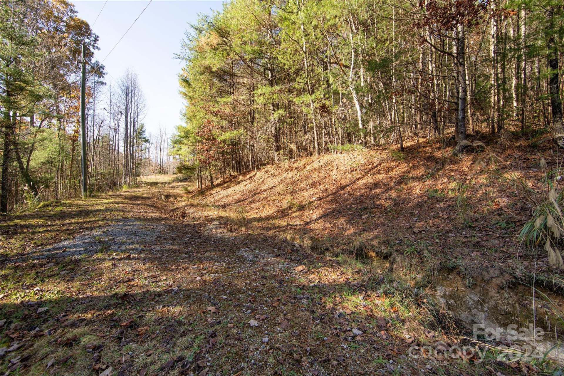 99999 Big Raven Lane - Photo 15