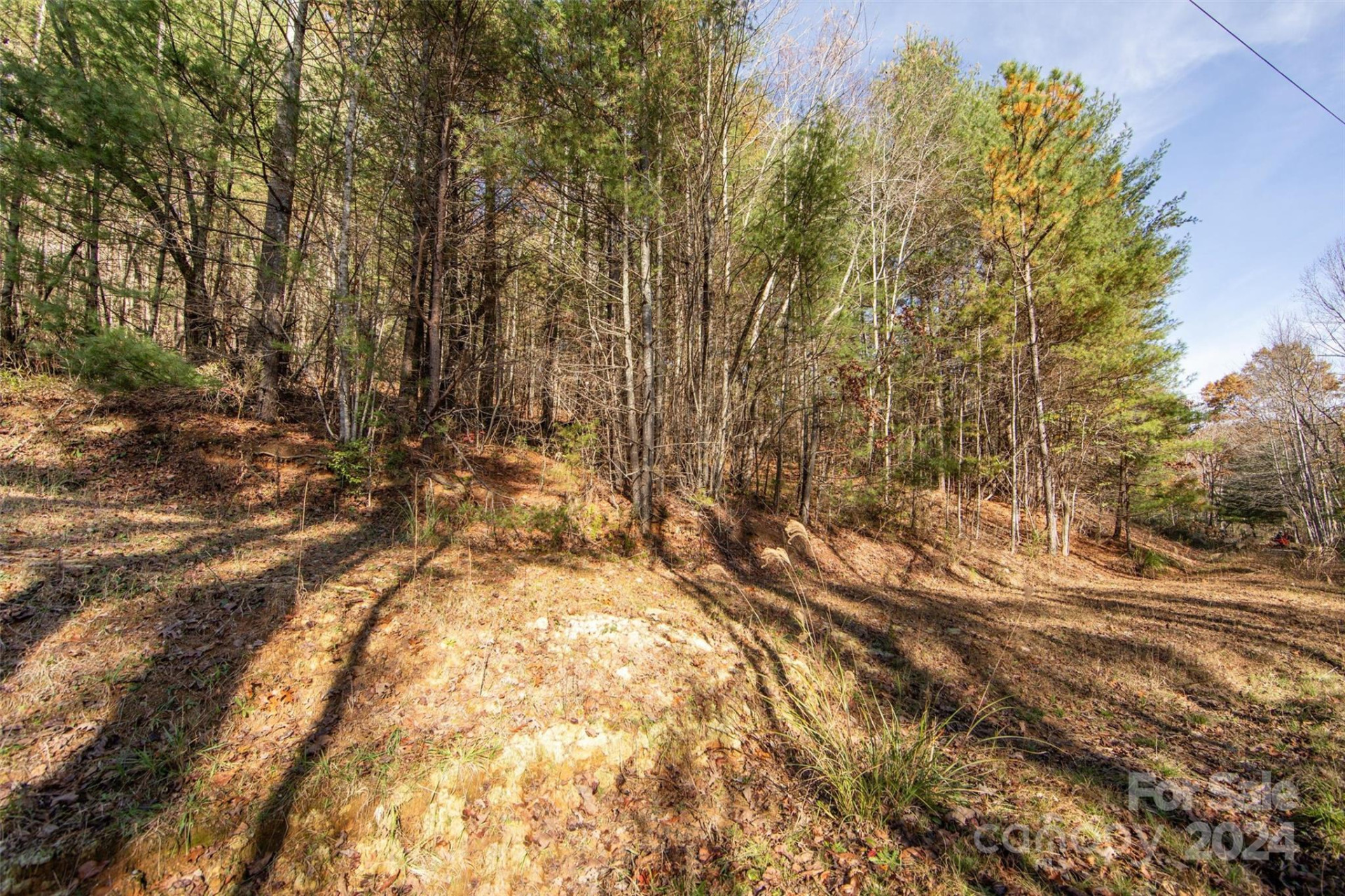 99999 Big Raven Lane - Photo 16