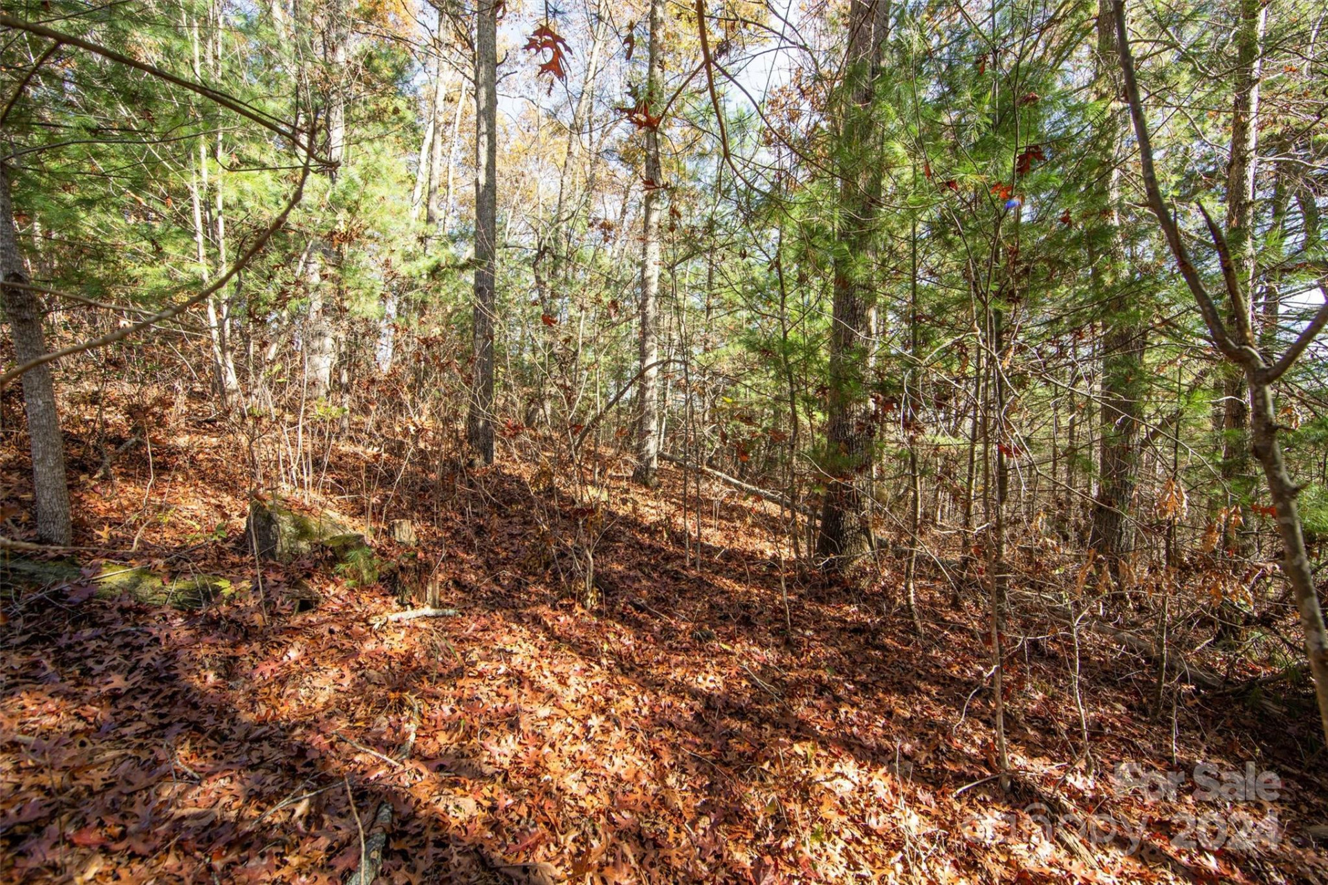 99999 Big Raven Lane - Photo 17