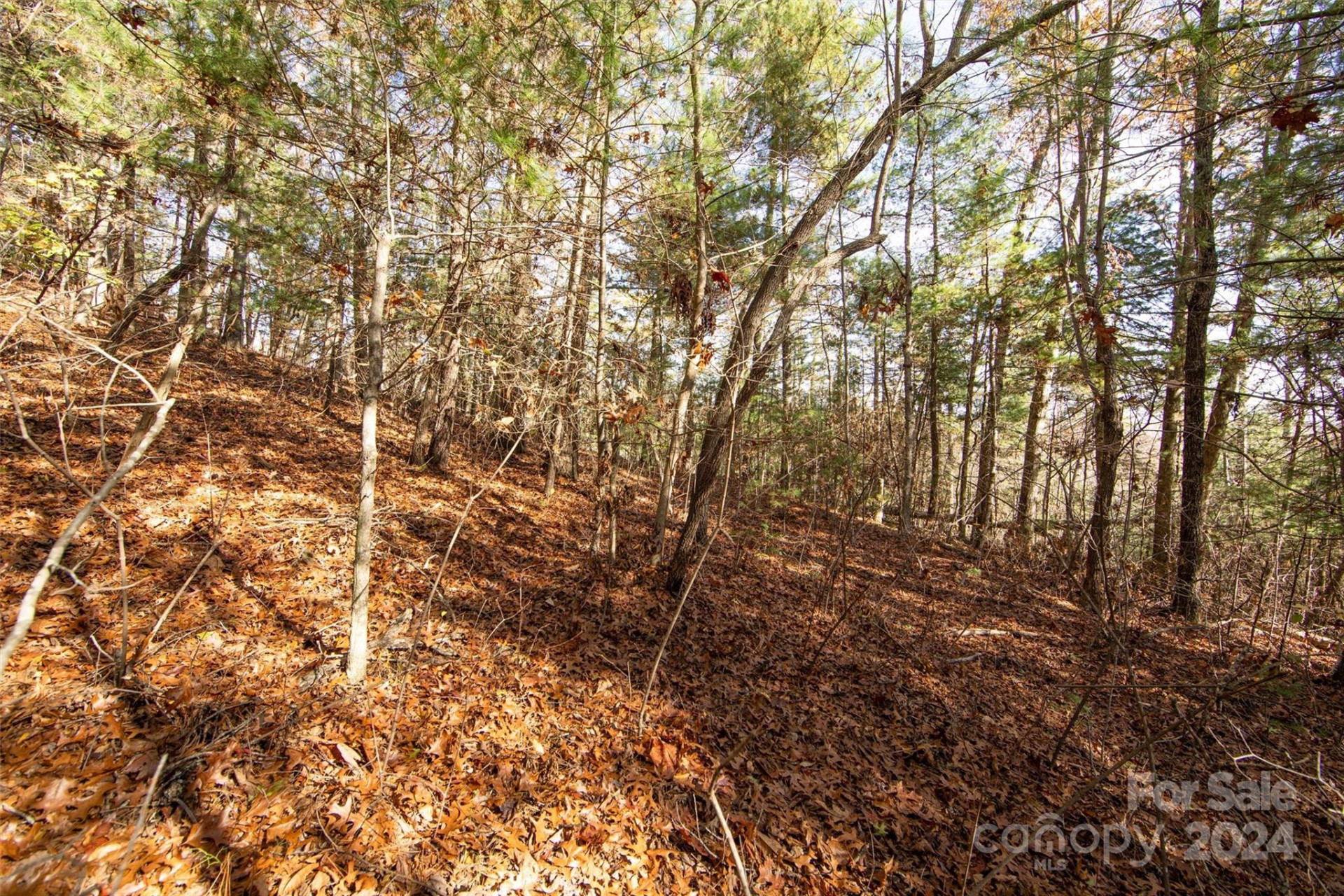 99999 Big Raven Lane - Photo 18