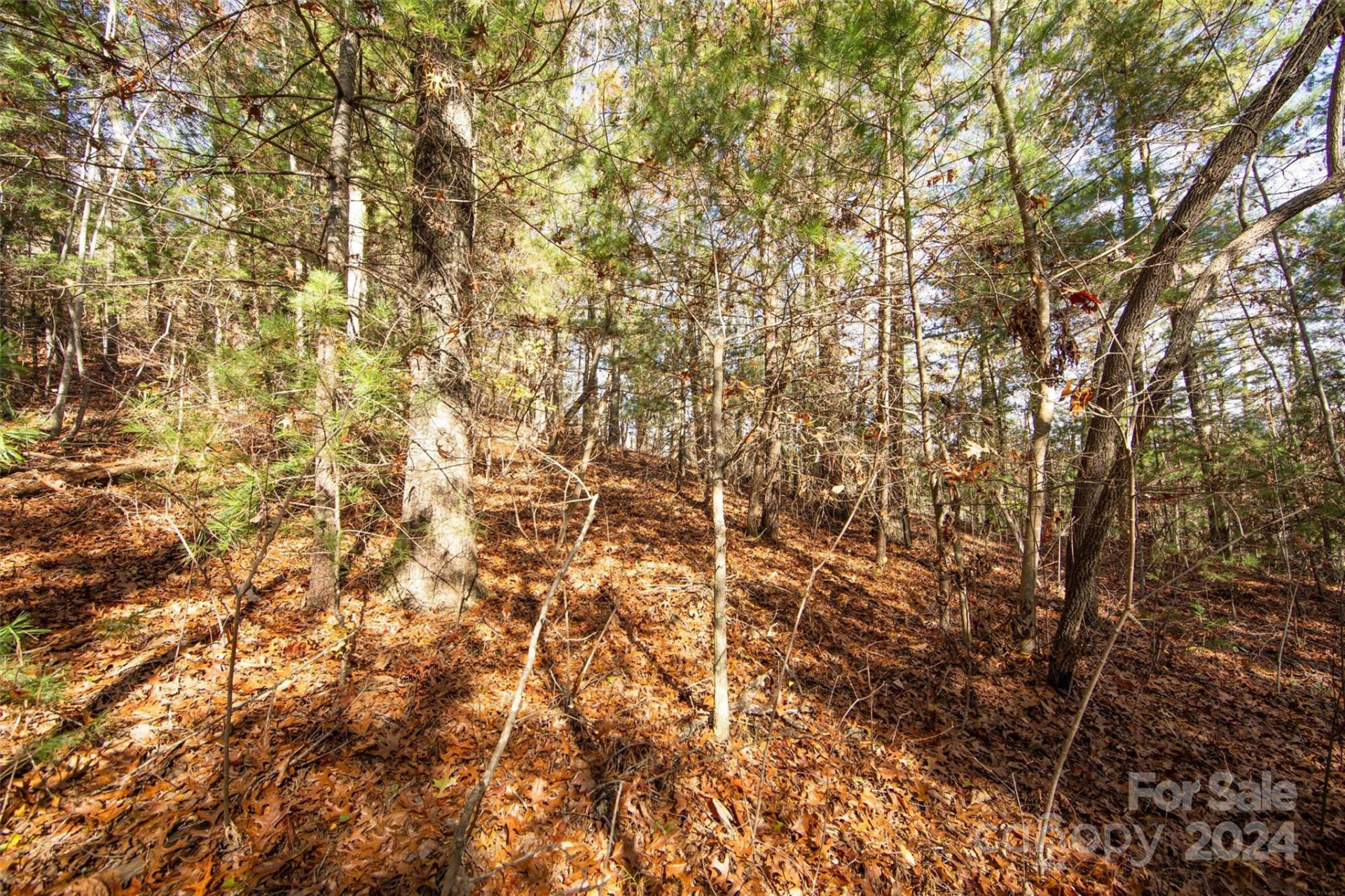 99999 Big Raven Lane - Photo 19