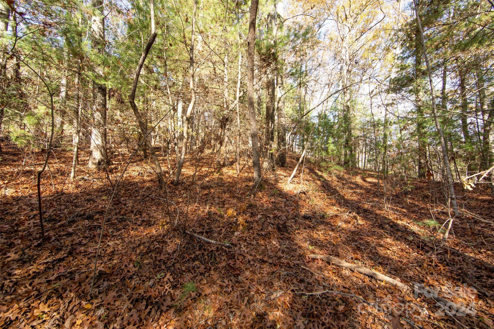 99999 Big Raven Lane - Photo 20