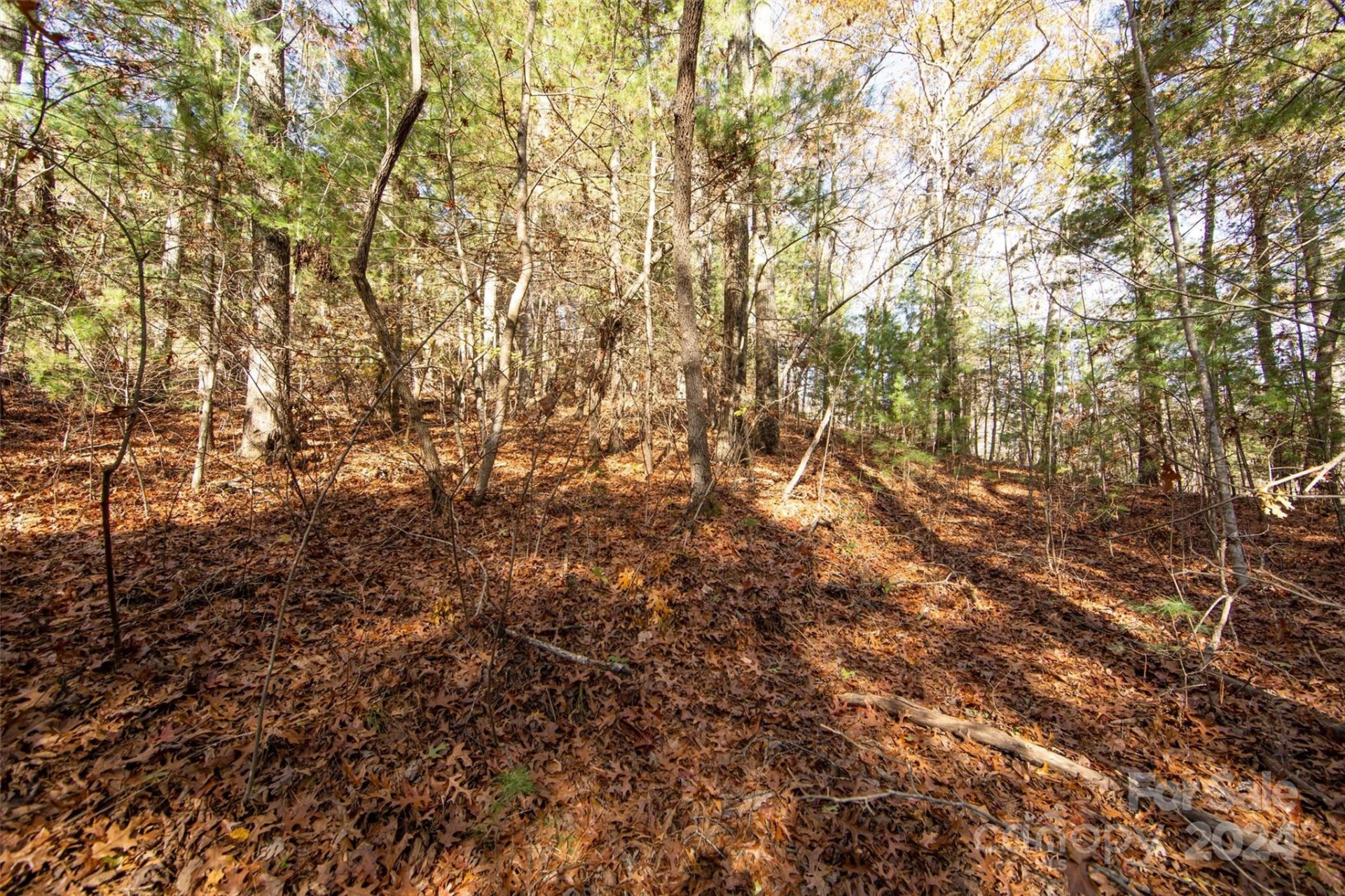 99999 Big Raven Lane - Photo 20
