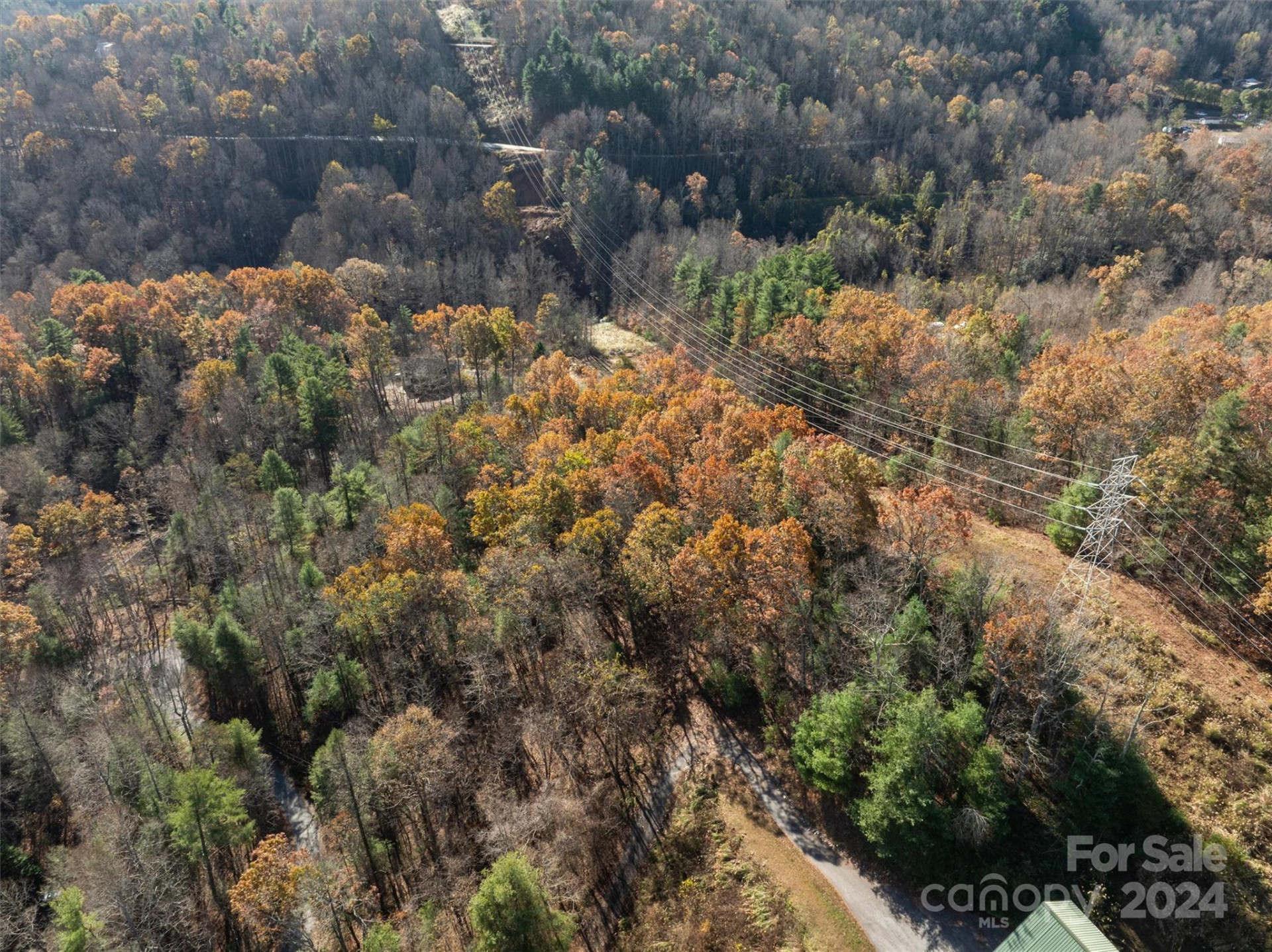 99999 Big Raven Lane - Photo 8