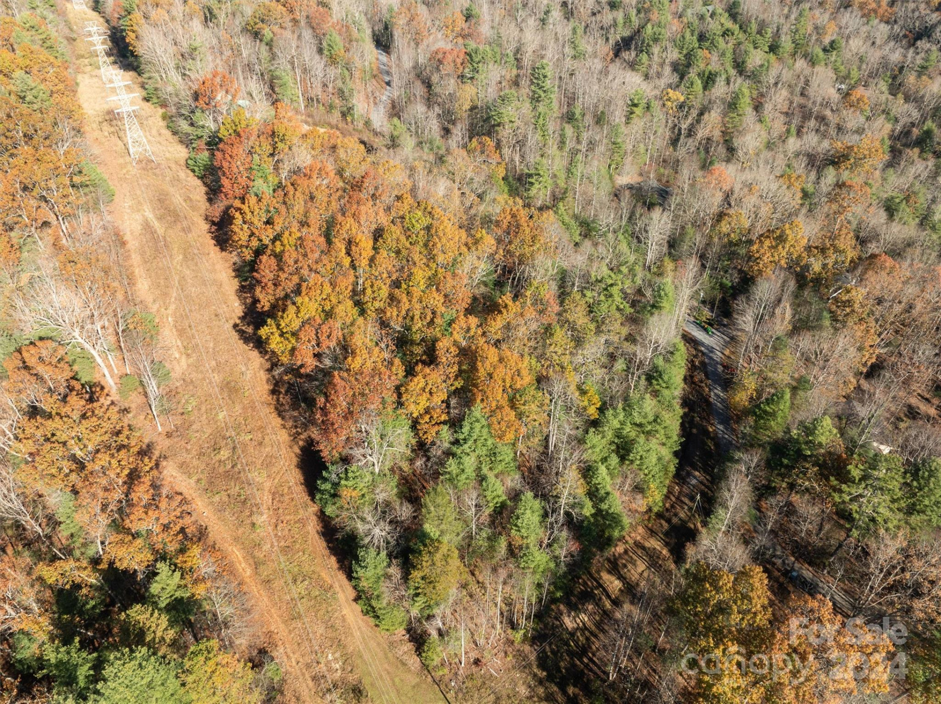 99999 Big Raven Lane - Photo 10