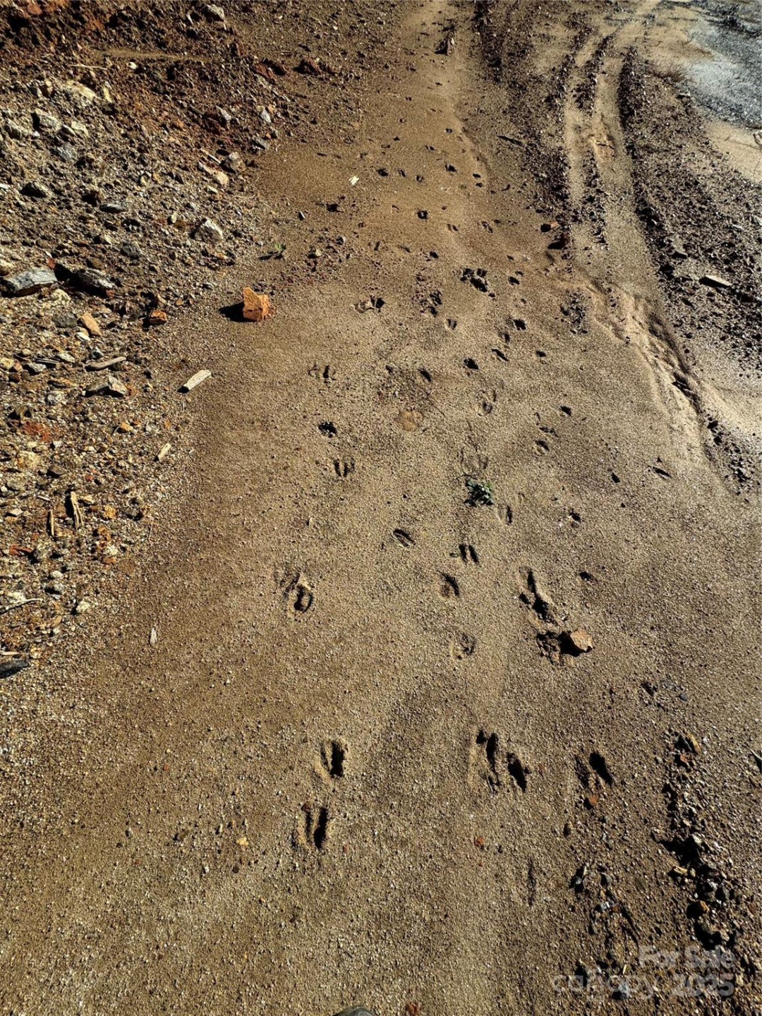 3200 Greenville Highway - Photo 12