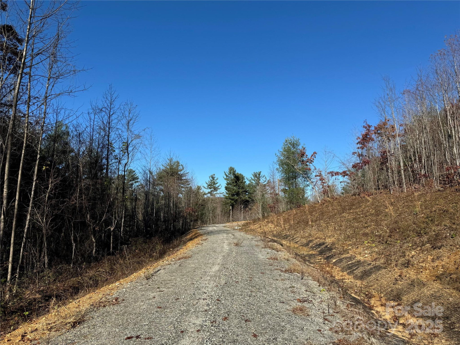 3200 Greenville Highway - Photo 18