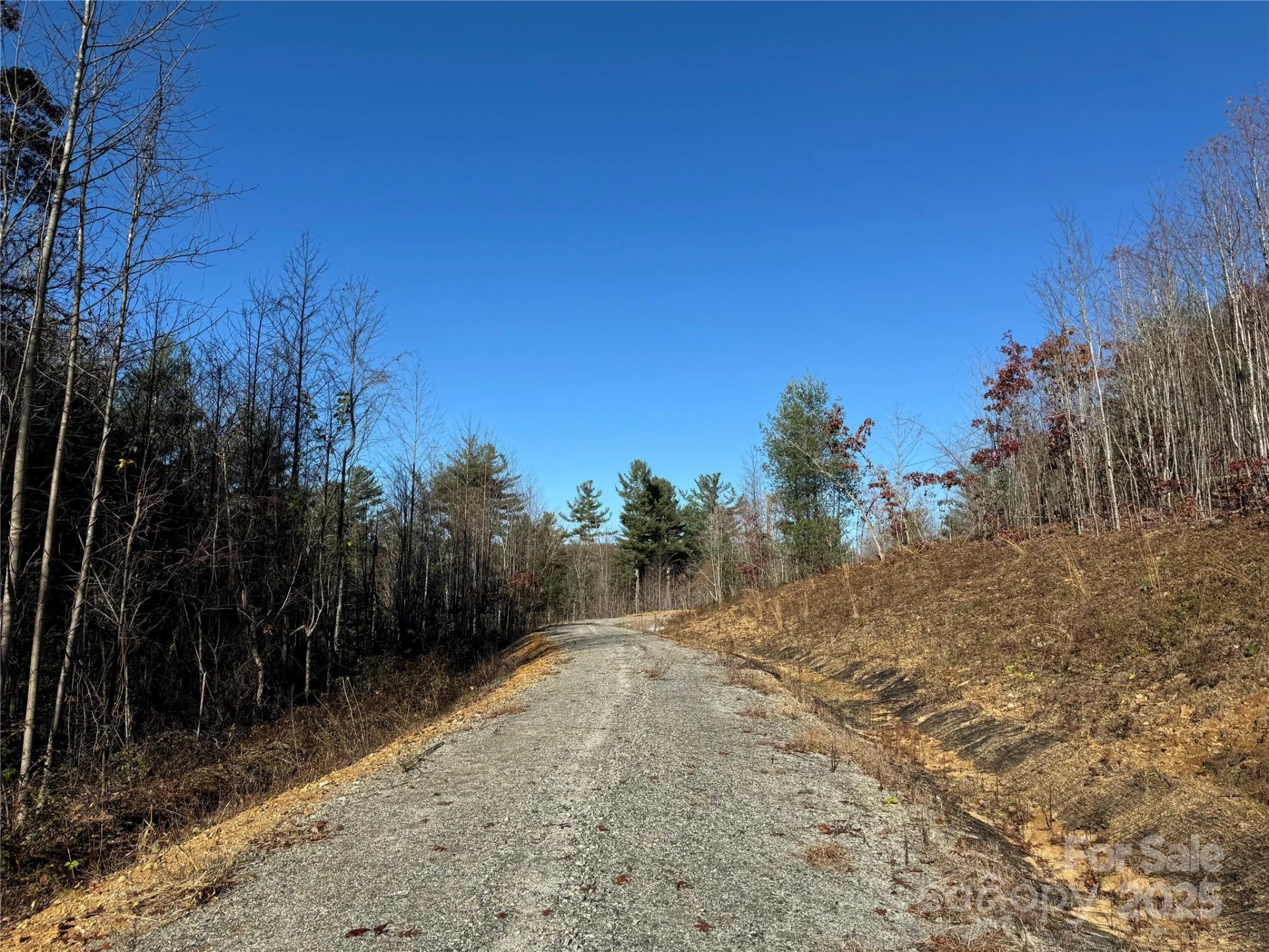 3200 Greenville Highway - Photo 18