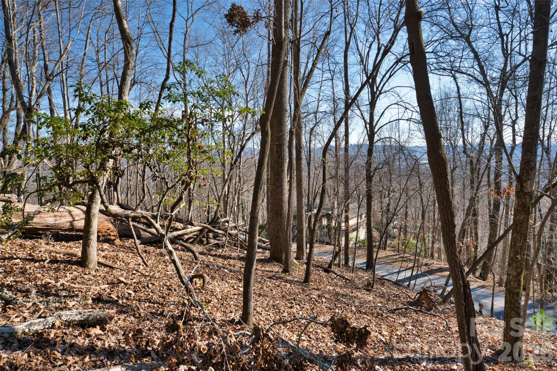 9999 Walnut Drive #166 - Photo 3