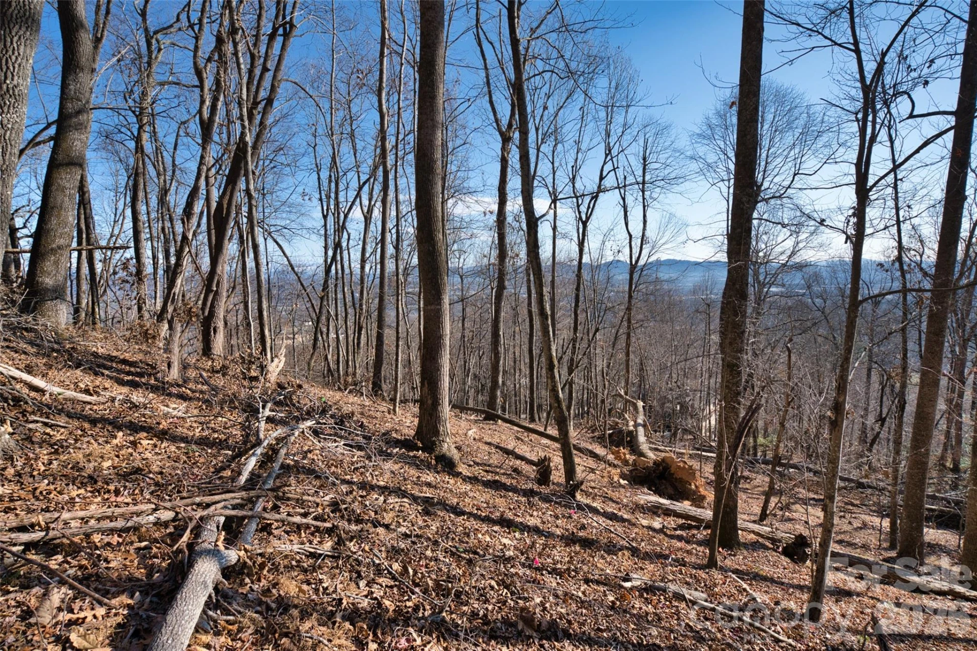 9999 Walnut Drive #166 - Photo 4