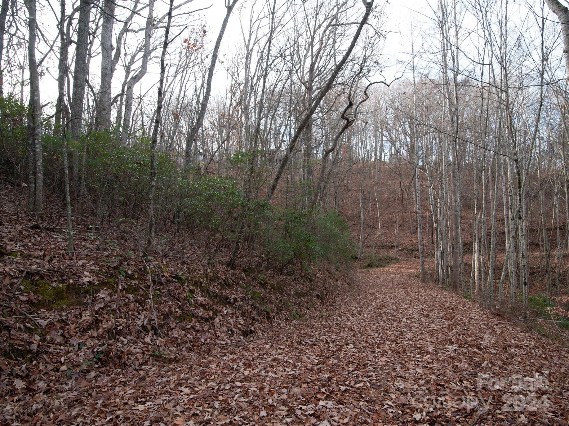 000 Beacon Rock Lane #Lot 211