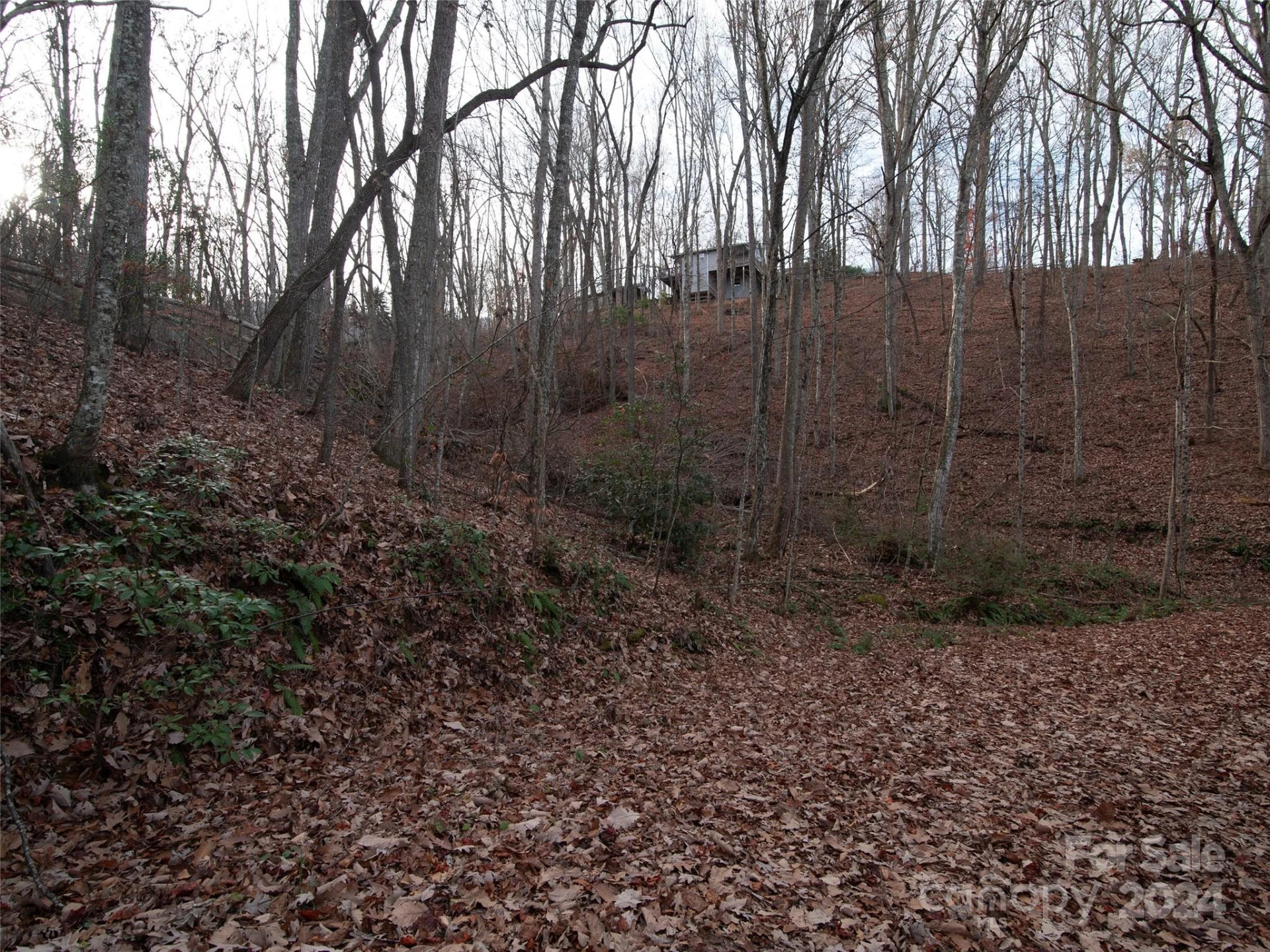 000 Beacon Rock Lane #Lot 211 - Photo 2