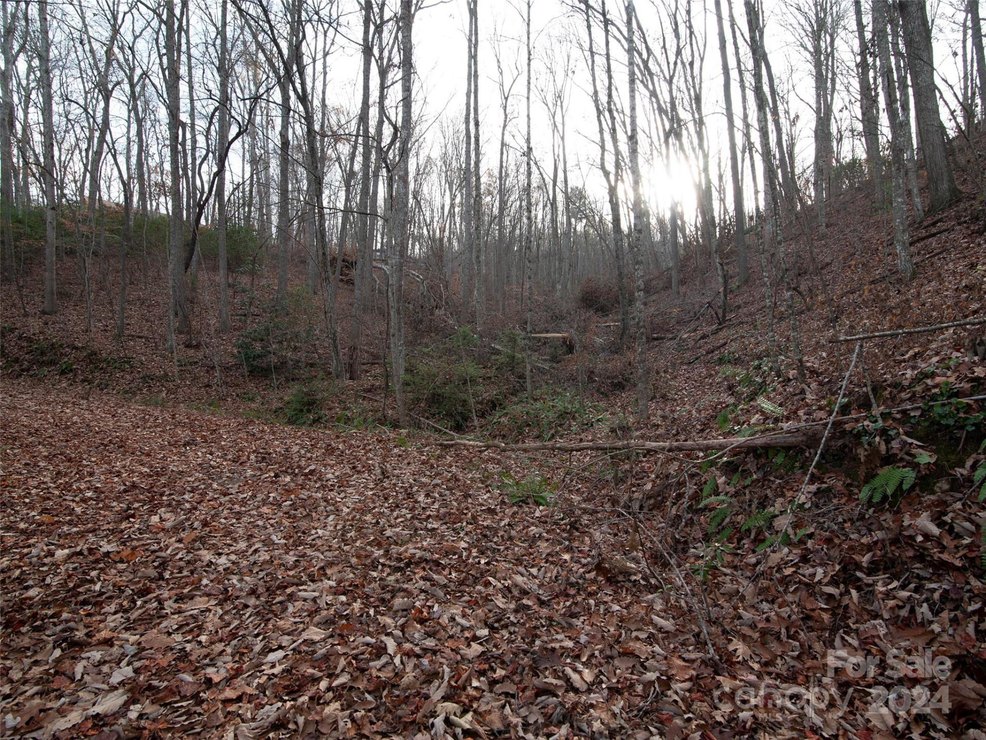 000 Beacon Rock Lane #Lot 211 - Photo 3