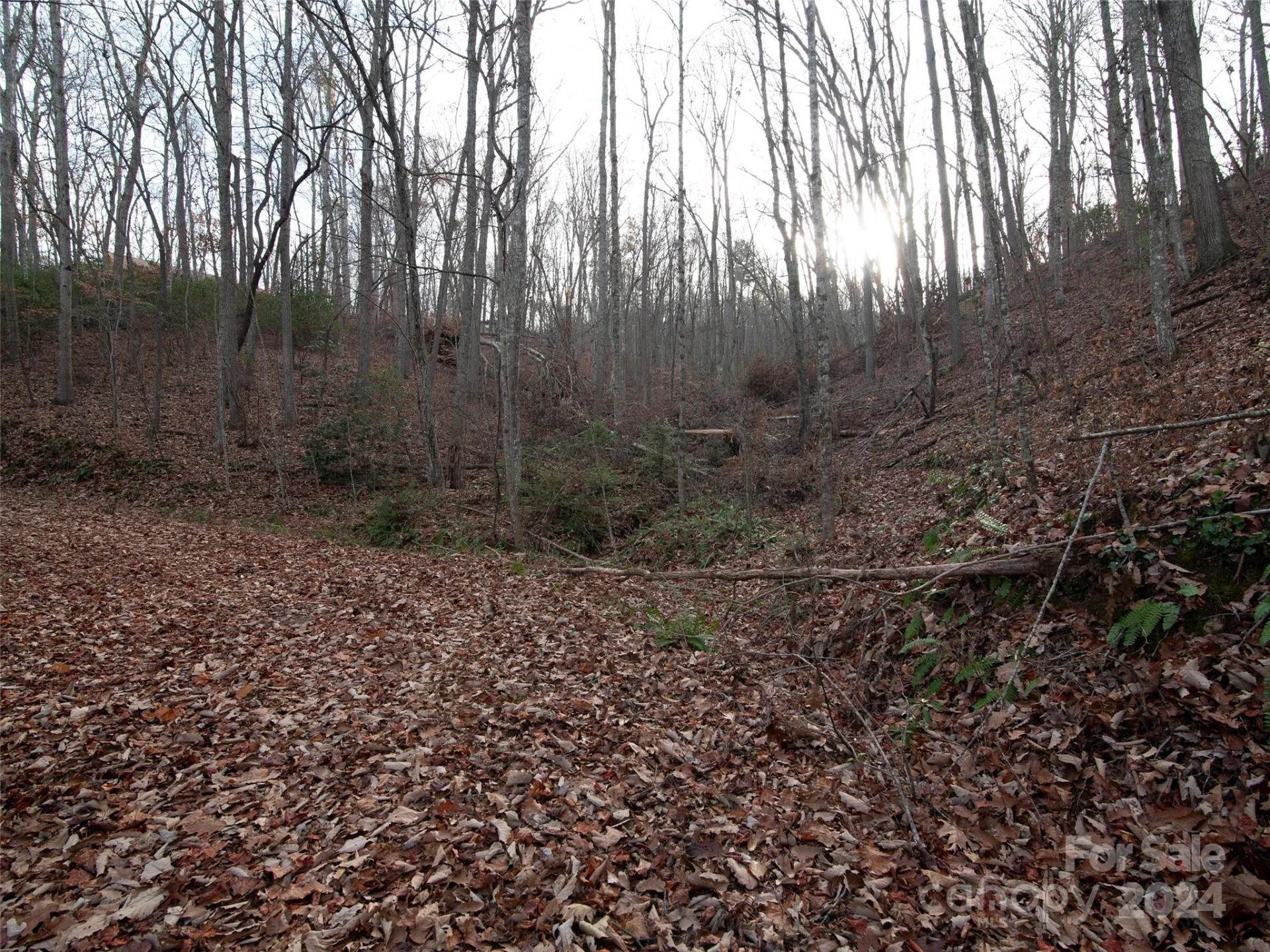 000 Beacon Rock Lane #Lot 211 - Photo 3