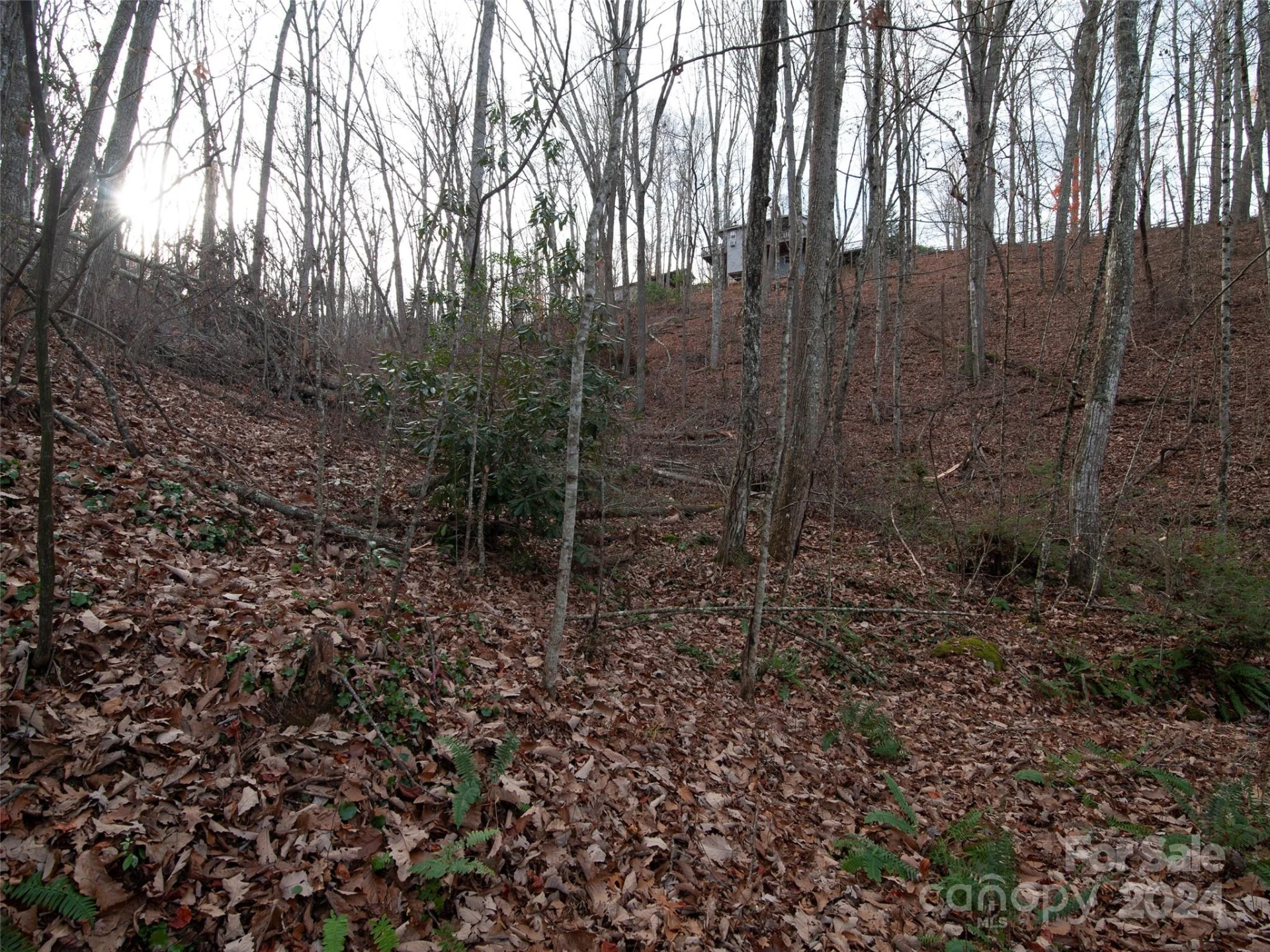 000 Beacon Rock Lane #Lot 211 - Photo 4