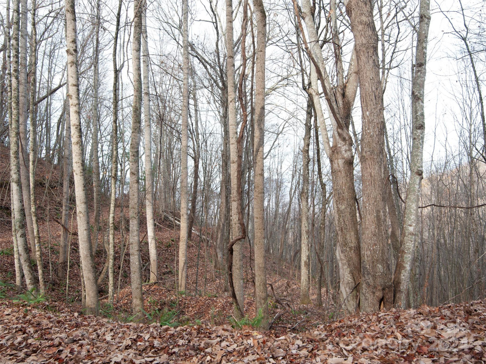 000 Beacon Rock Lane #Lot 211 - Photo 5