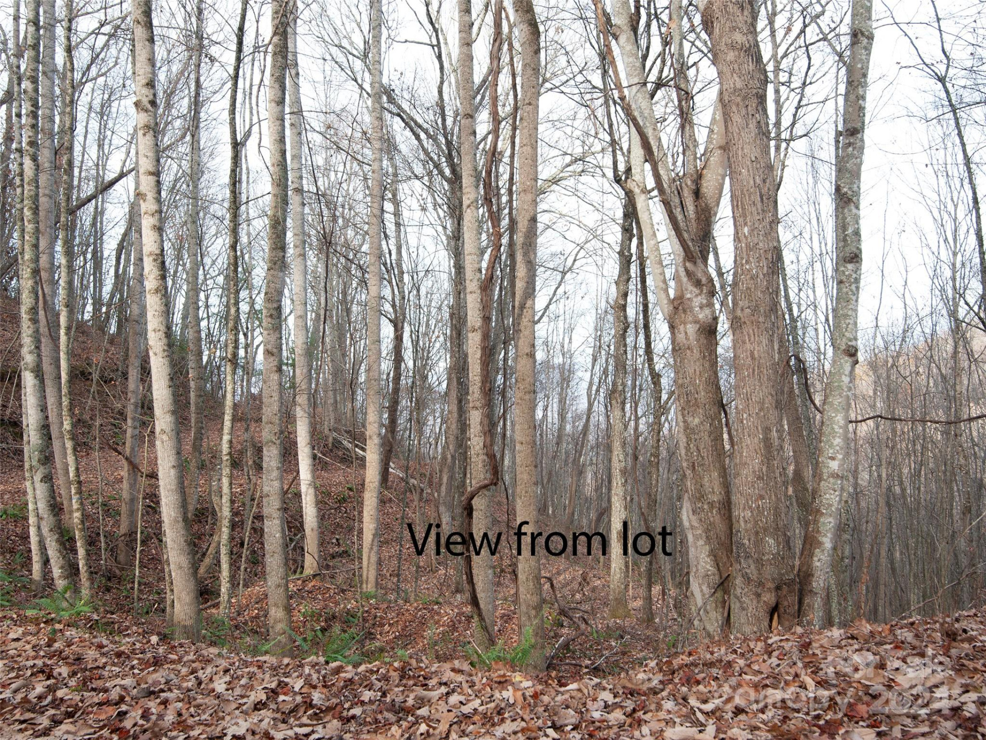 000 Beacon Rock Lane #Lot 211 - Photo 6