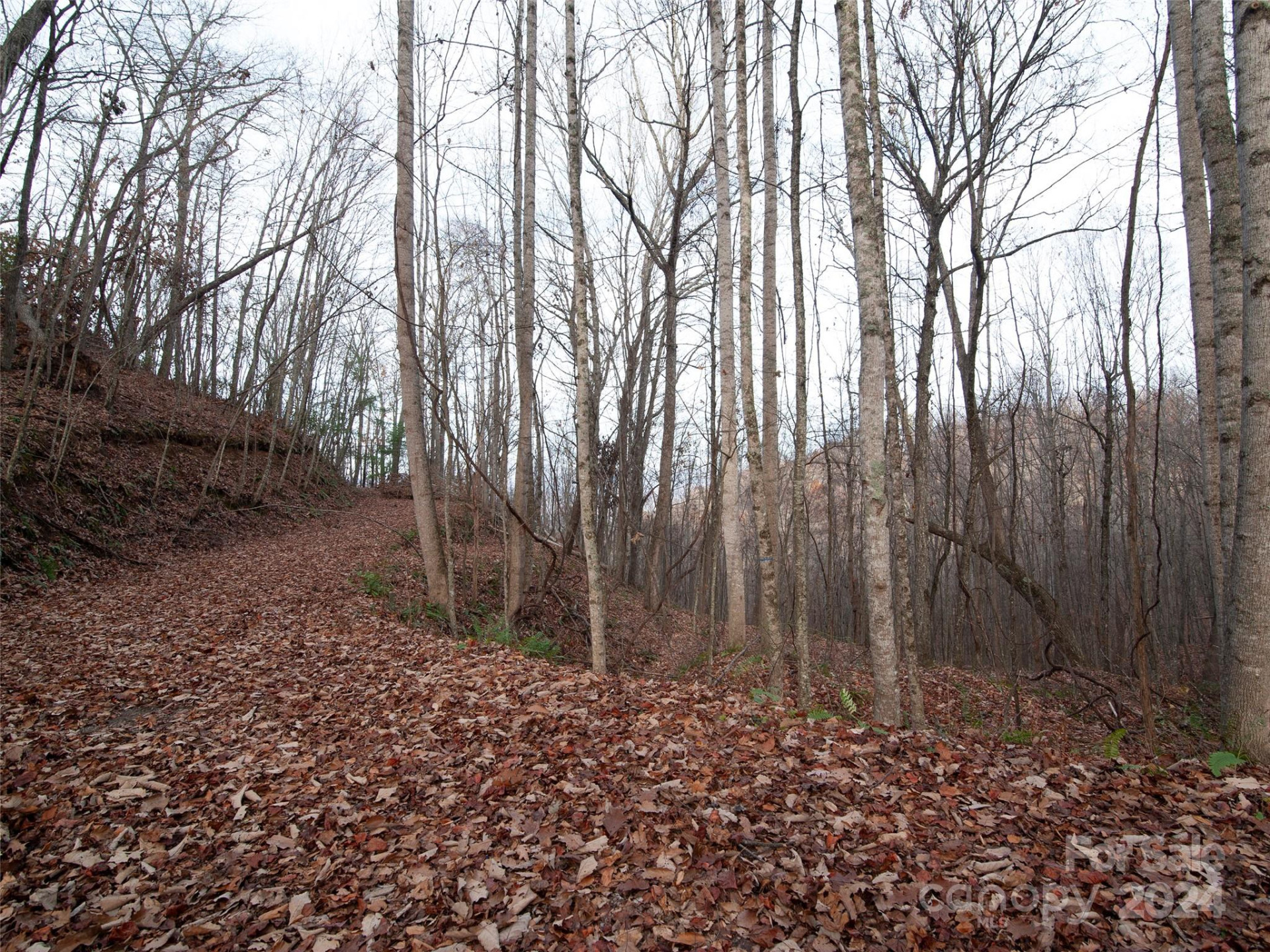 000 Beacon Rock Lane #Lot 211 - Photo 7