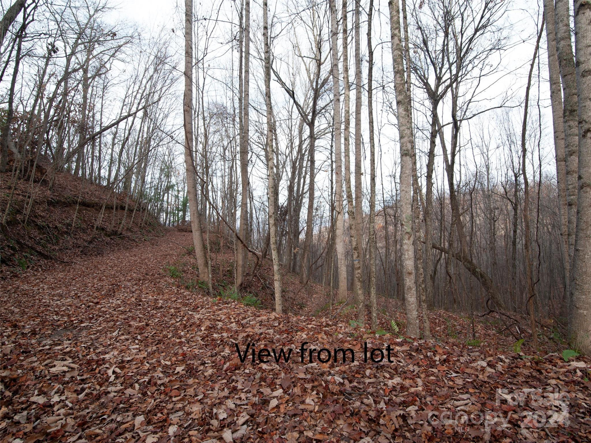 000 Beacon Rock Lane #Lot 211 - Photo 8