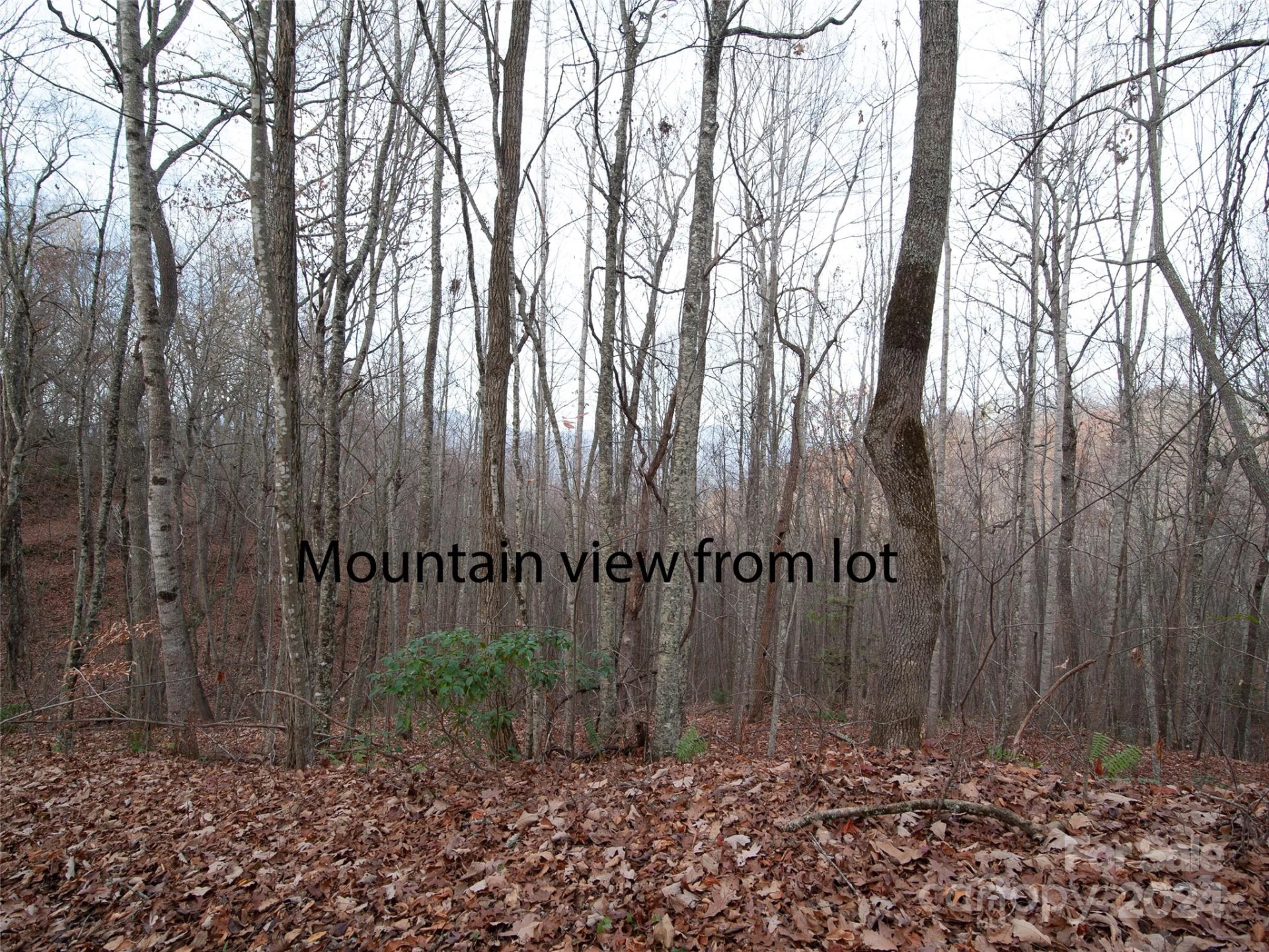 000 Beacon Rock Lane #Lot 211 - Photo 10
