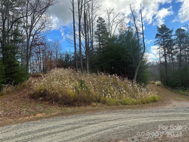 000 The Vines Boulevard