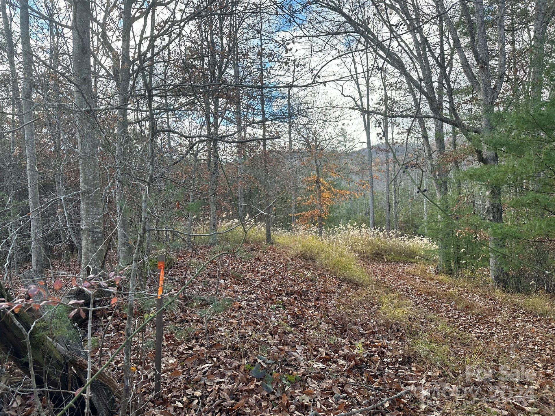 000 The Vines Boulevard #5 - Photo 2