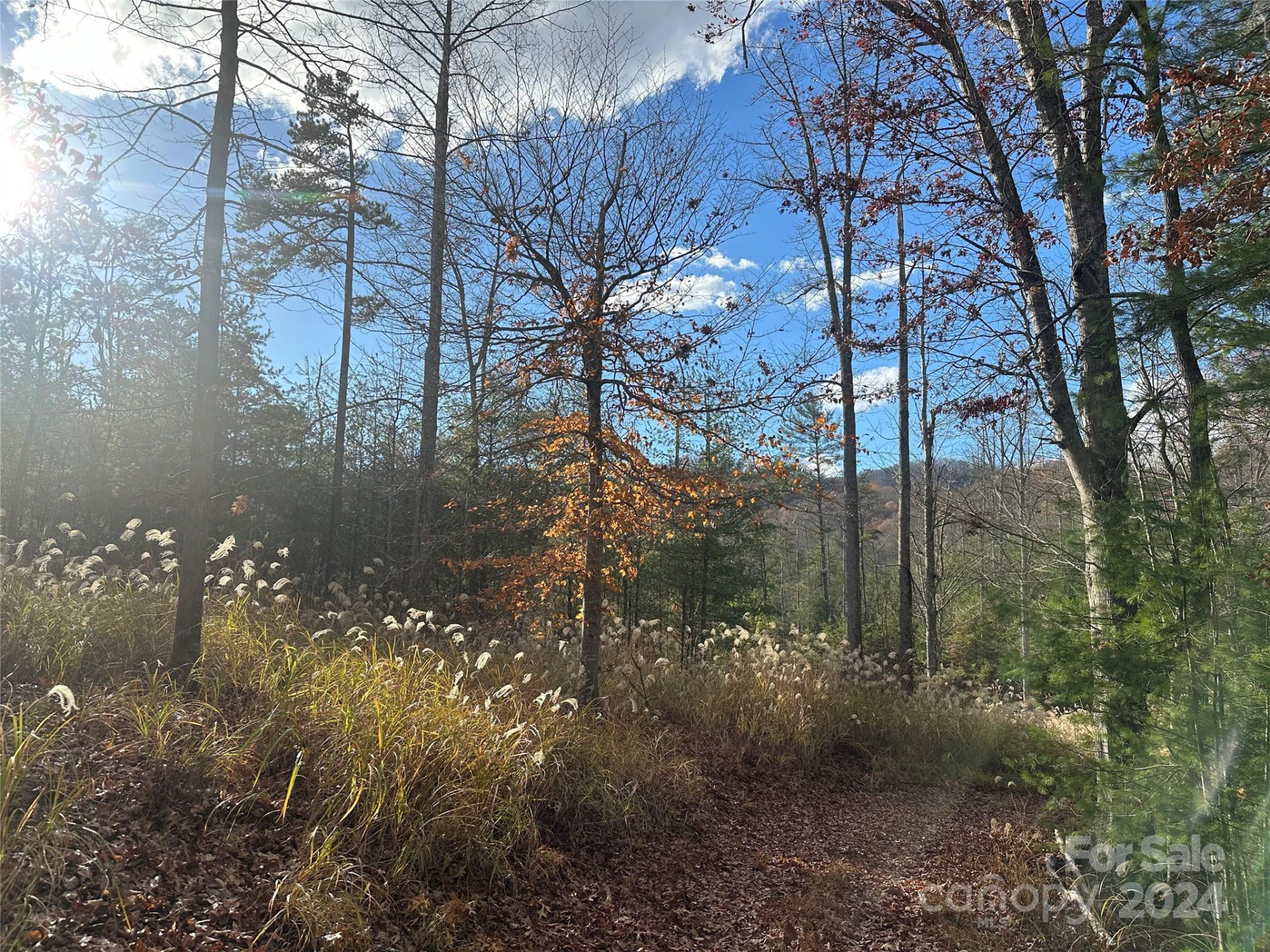 000 The Vines Boulevard #5 - Photo 3