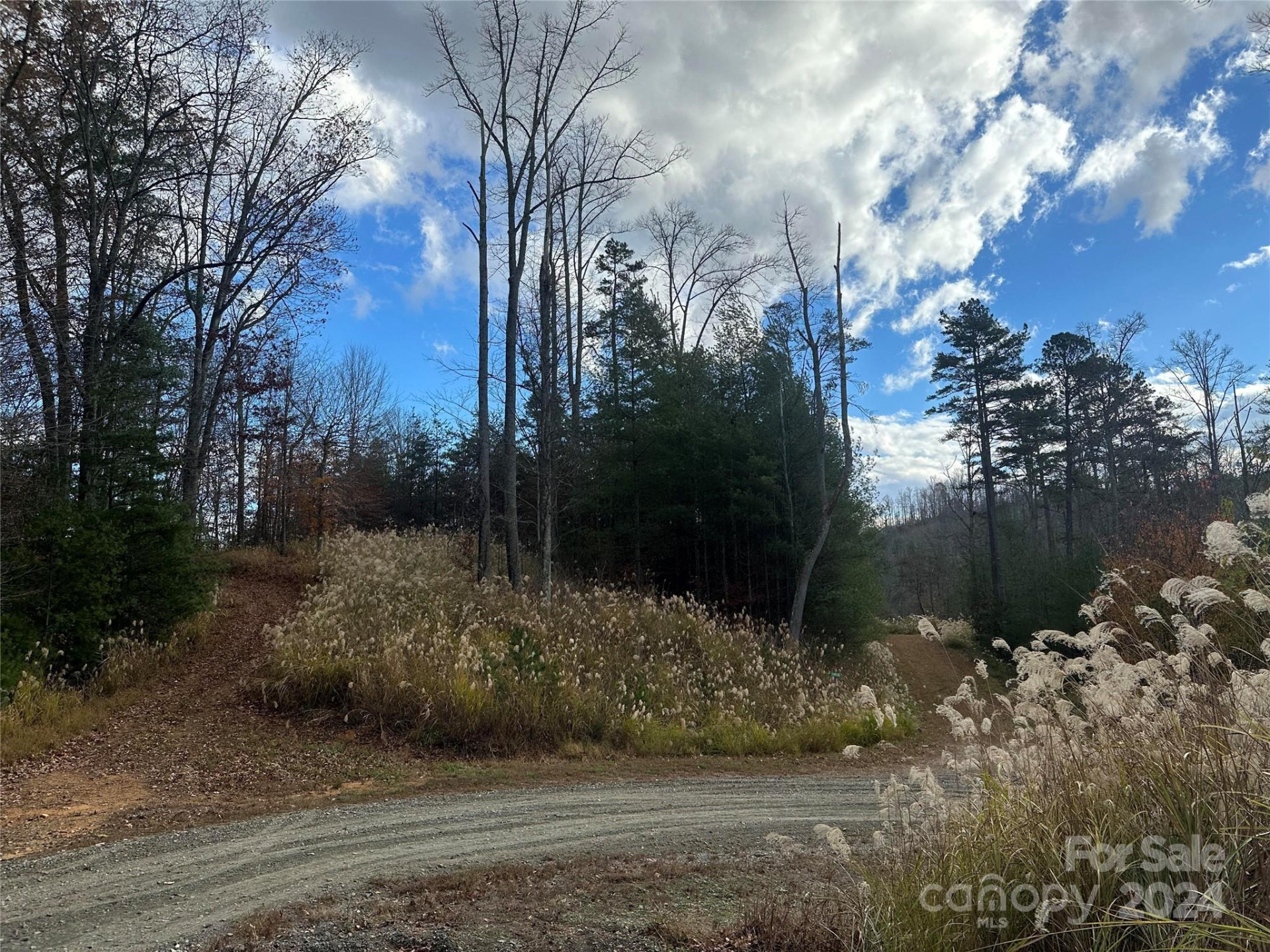 000 The Vines Boulevard #5 - Photo 4