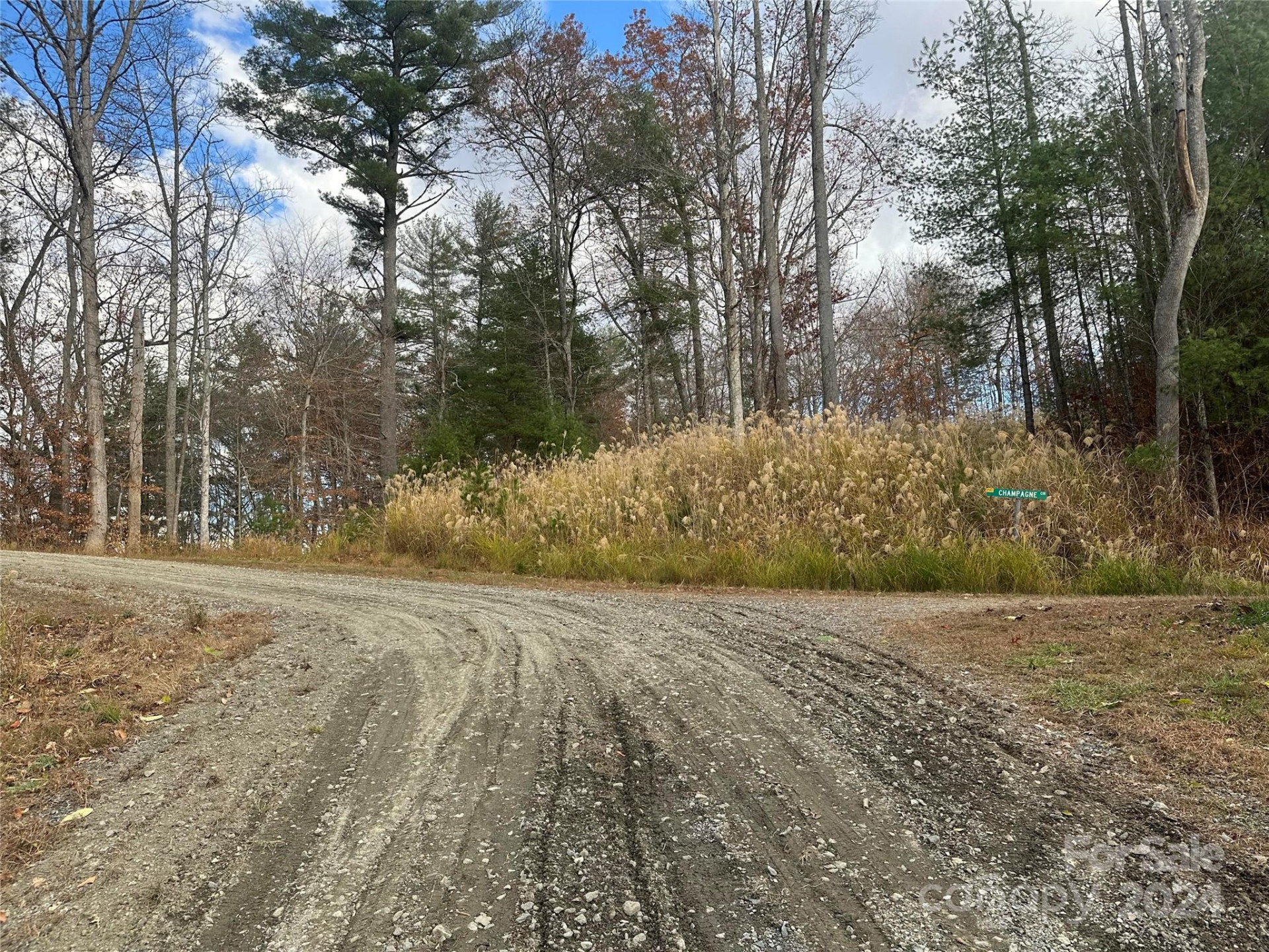 000 The Vines Boulevard #5 - Photo 5