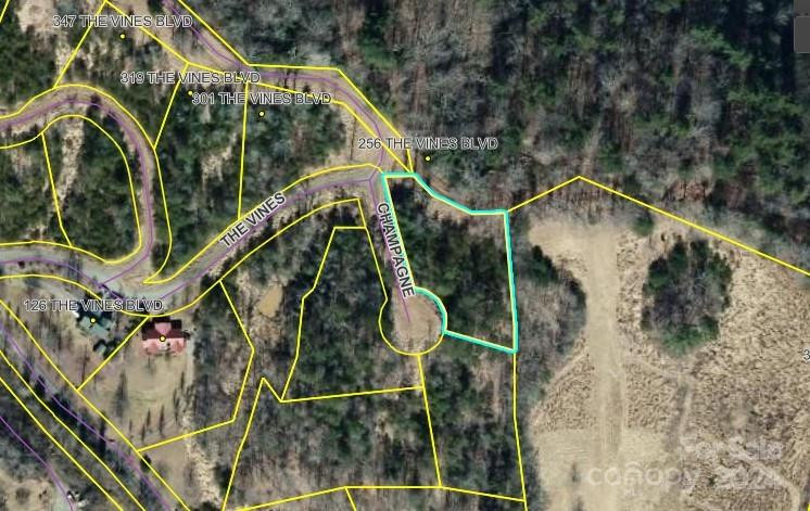 000 The Vines Boulevard #5 - Photo 6