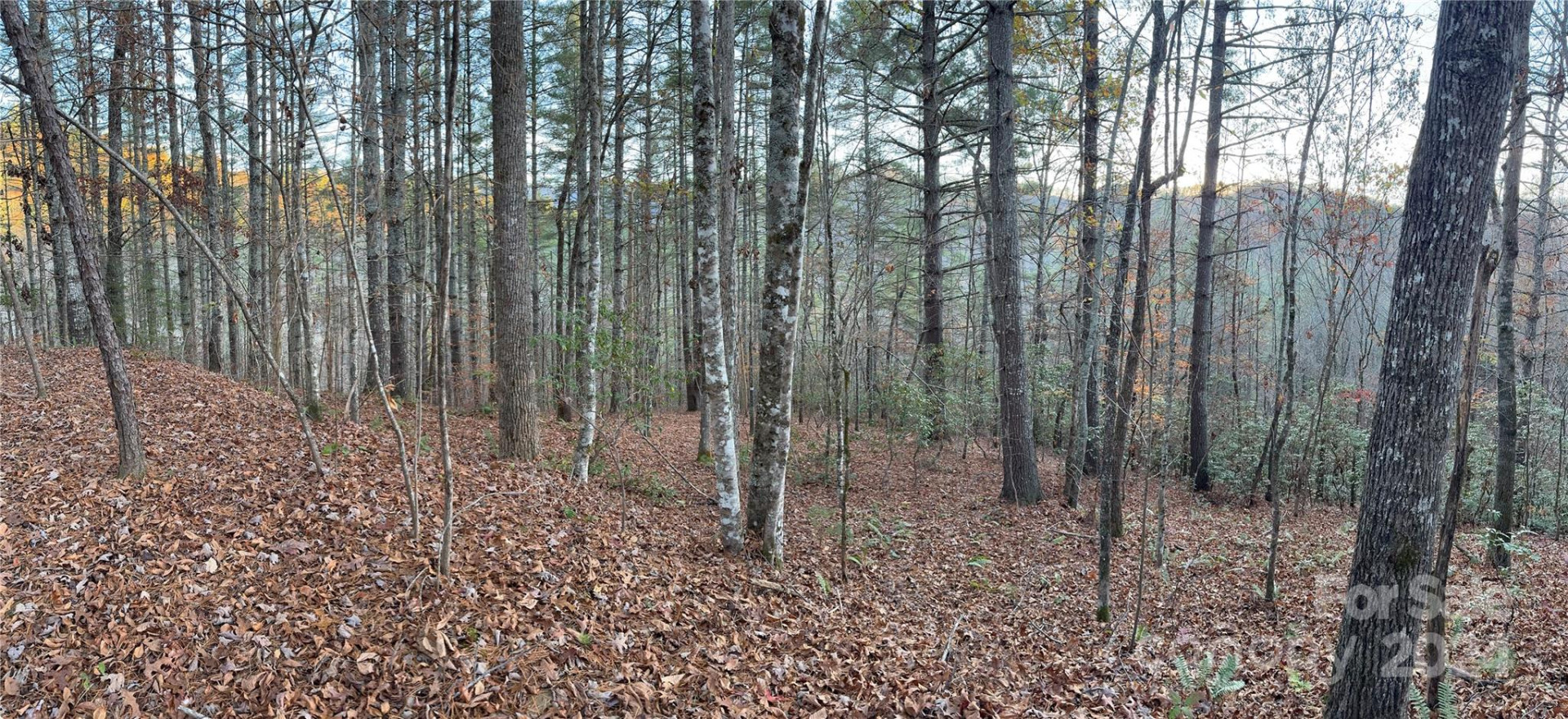 0 Sky Ridge Drive - Photo 14