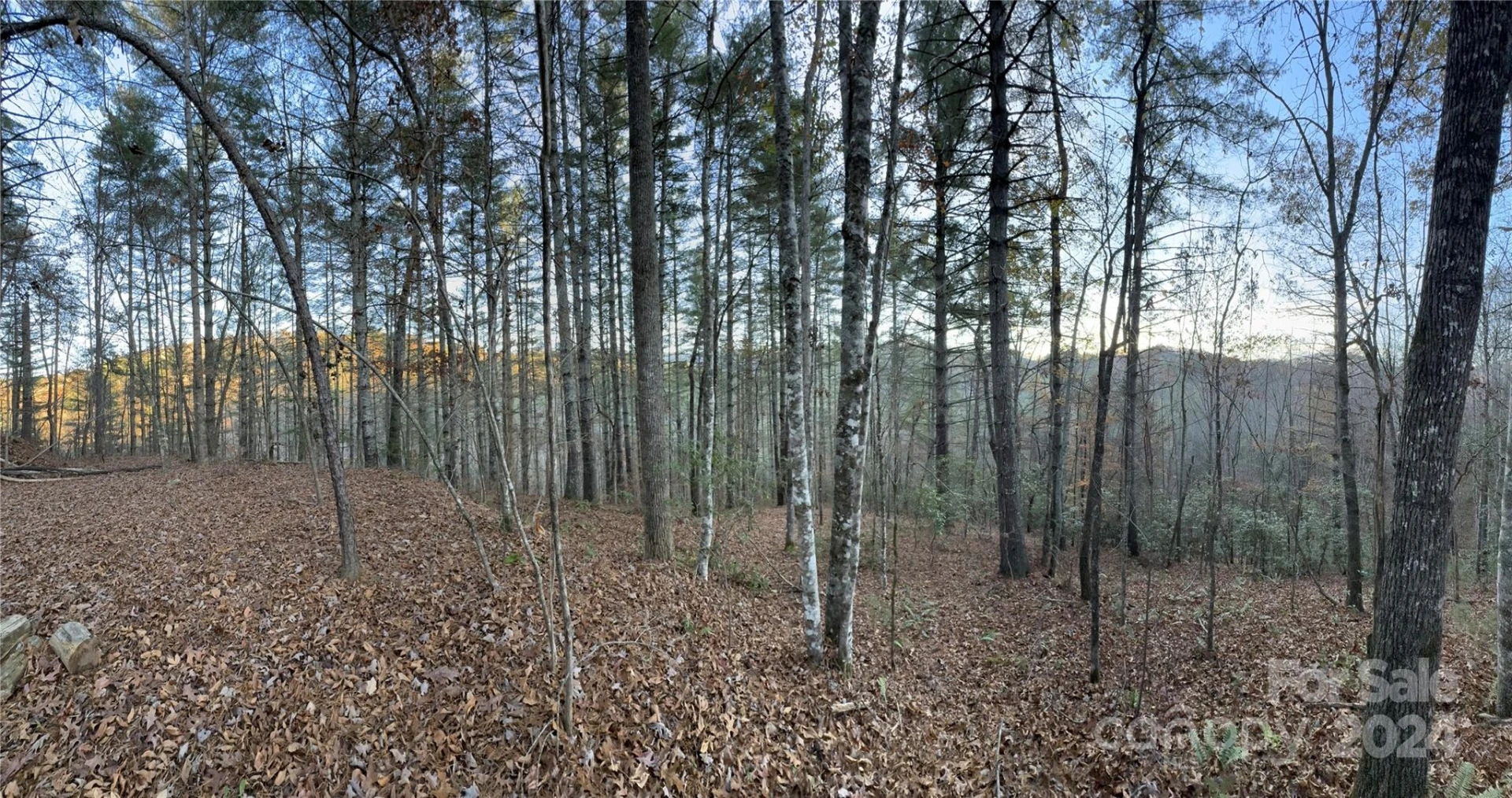 0 Sky Ridge Drive - Photo 15