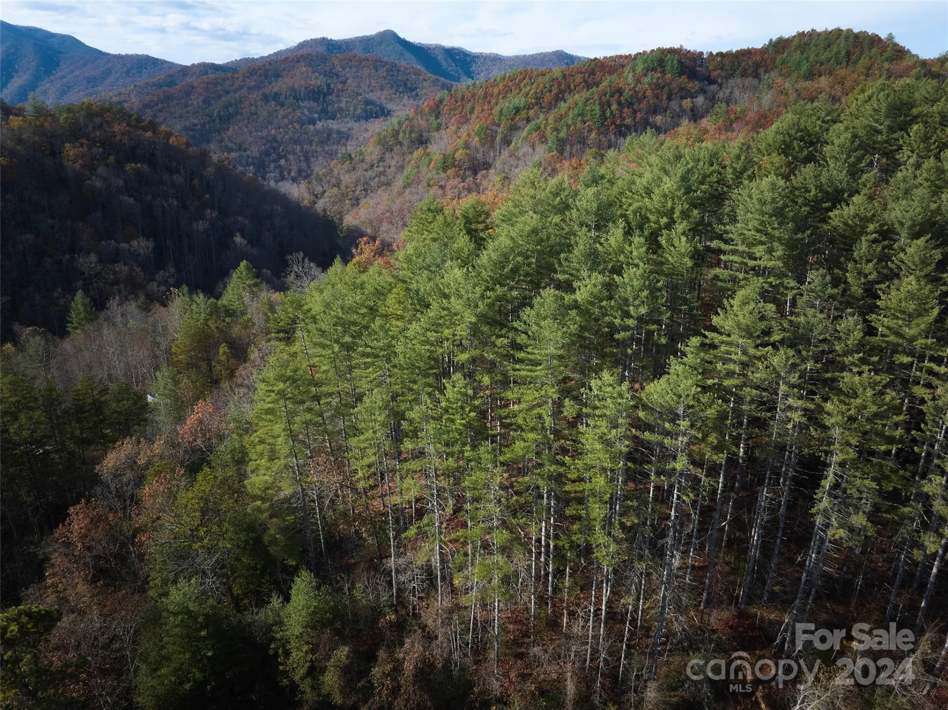 0 Sky Ridge Drive - Photo 6