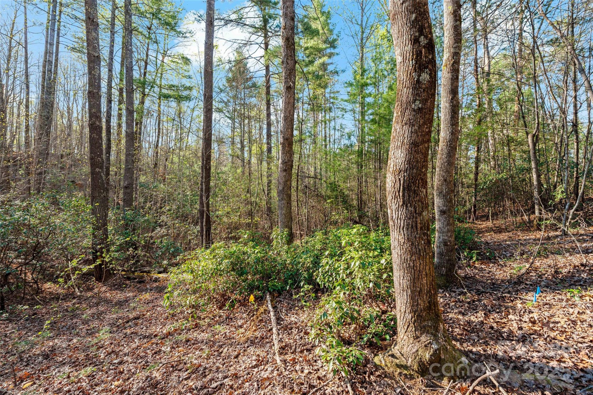 342 Waters Edge Drive #6-16,7-16,8-16,9-16 - Photo 11