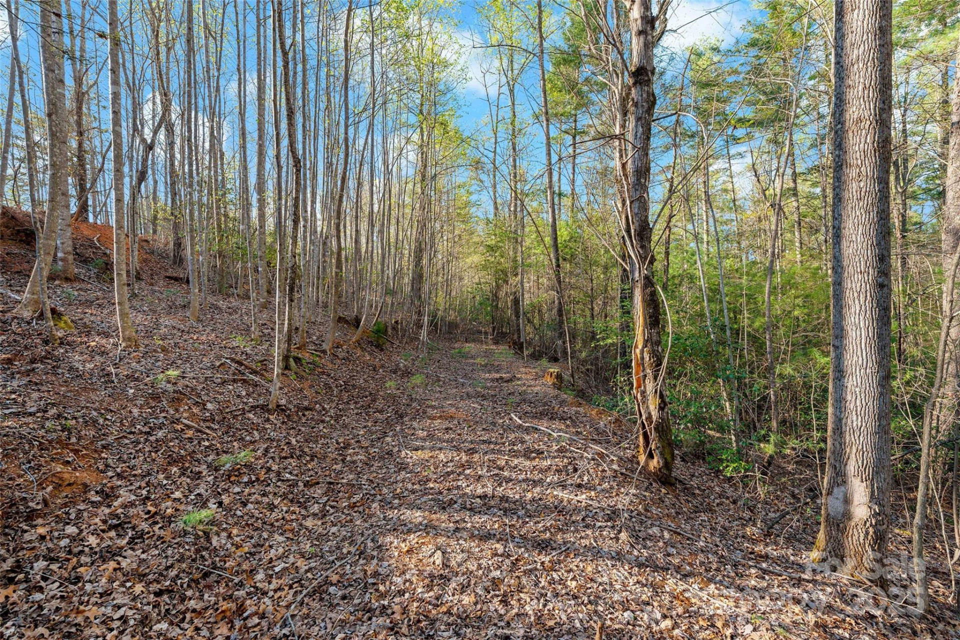 342 Waters Edge Drive #6-16,7-16,8-16,9-16 - Photo 12