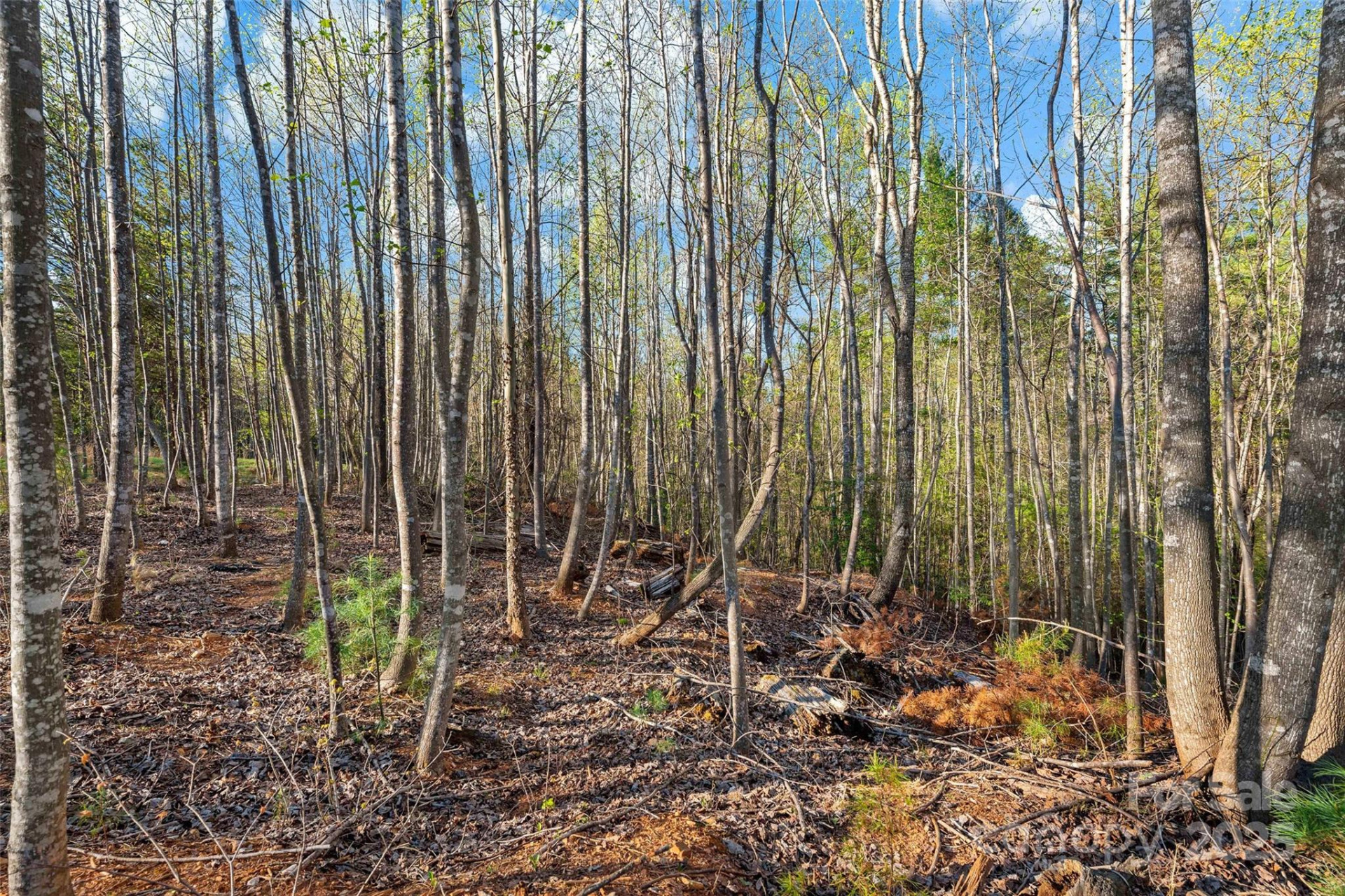 342 Waters Edge Drive #6-16,7-16,8-16,9-16 - Photo 13