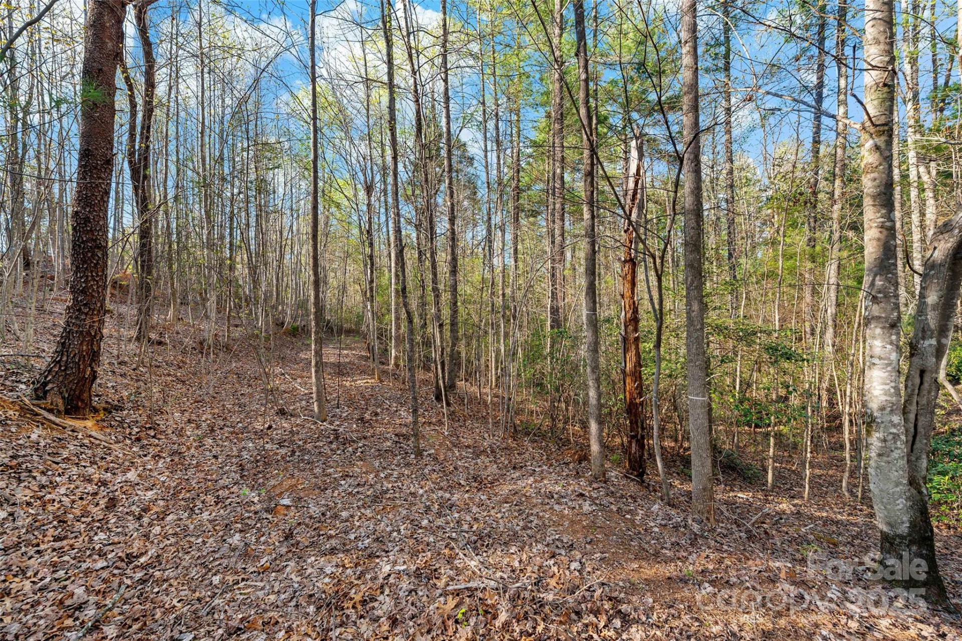 342 Waters Edge Drive #6-16,7-16,8-16,9-16 - Photo 9