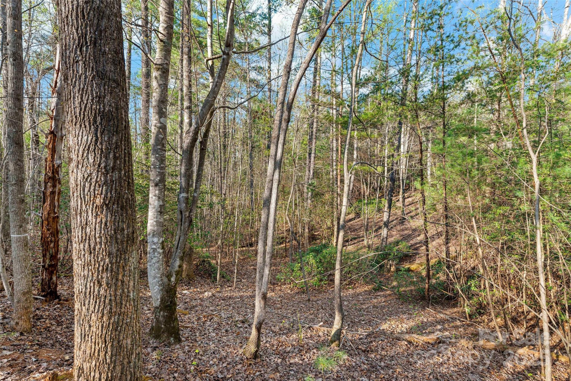 342 Waters Edge Drive #6-16,7-16,8-16,9-16 - Photo 10