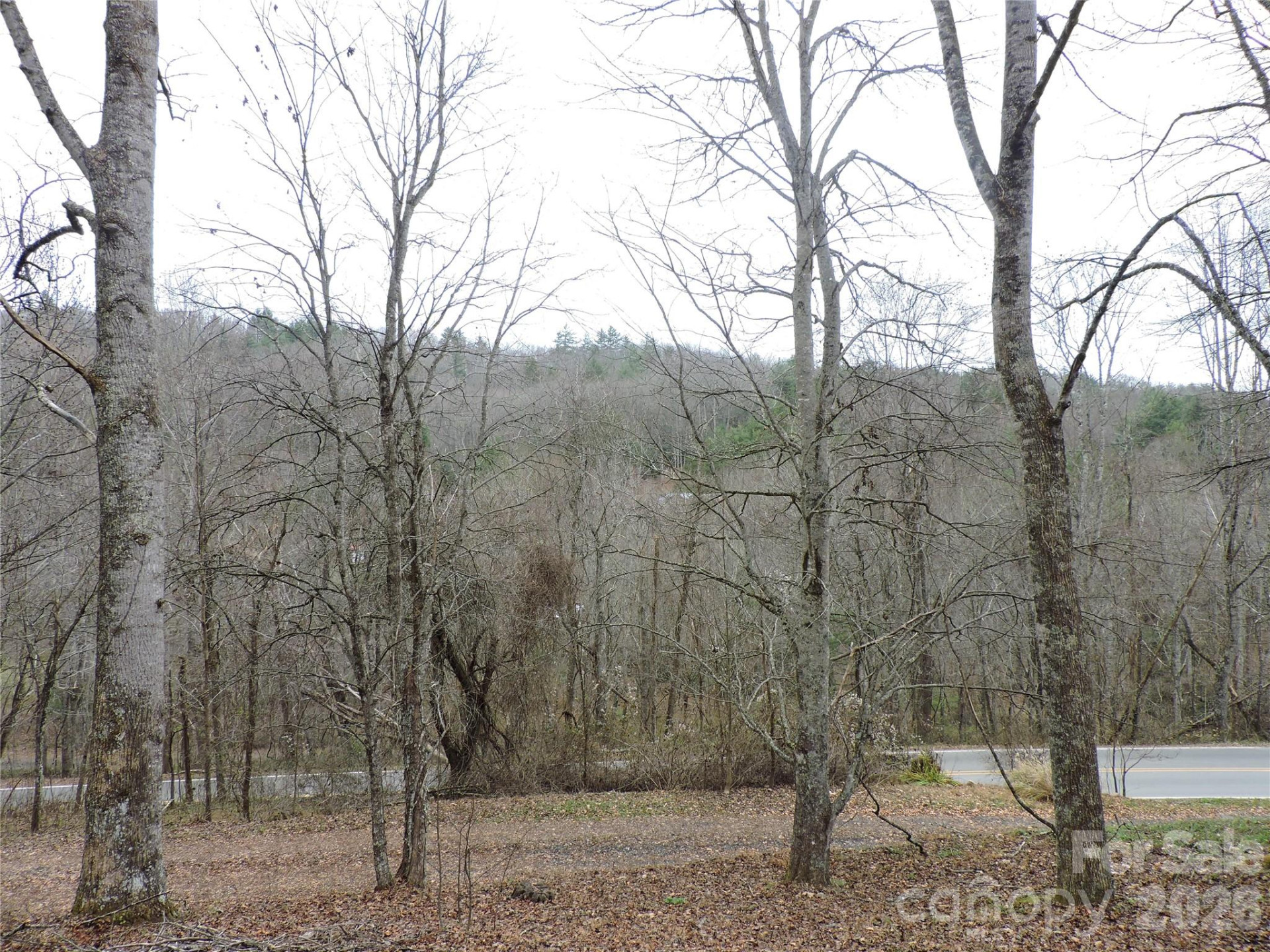 2271 Gouges Creek Road - Photo 32