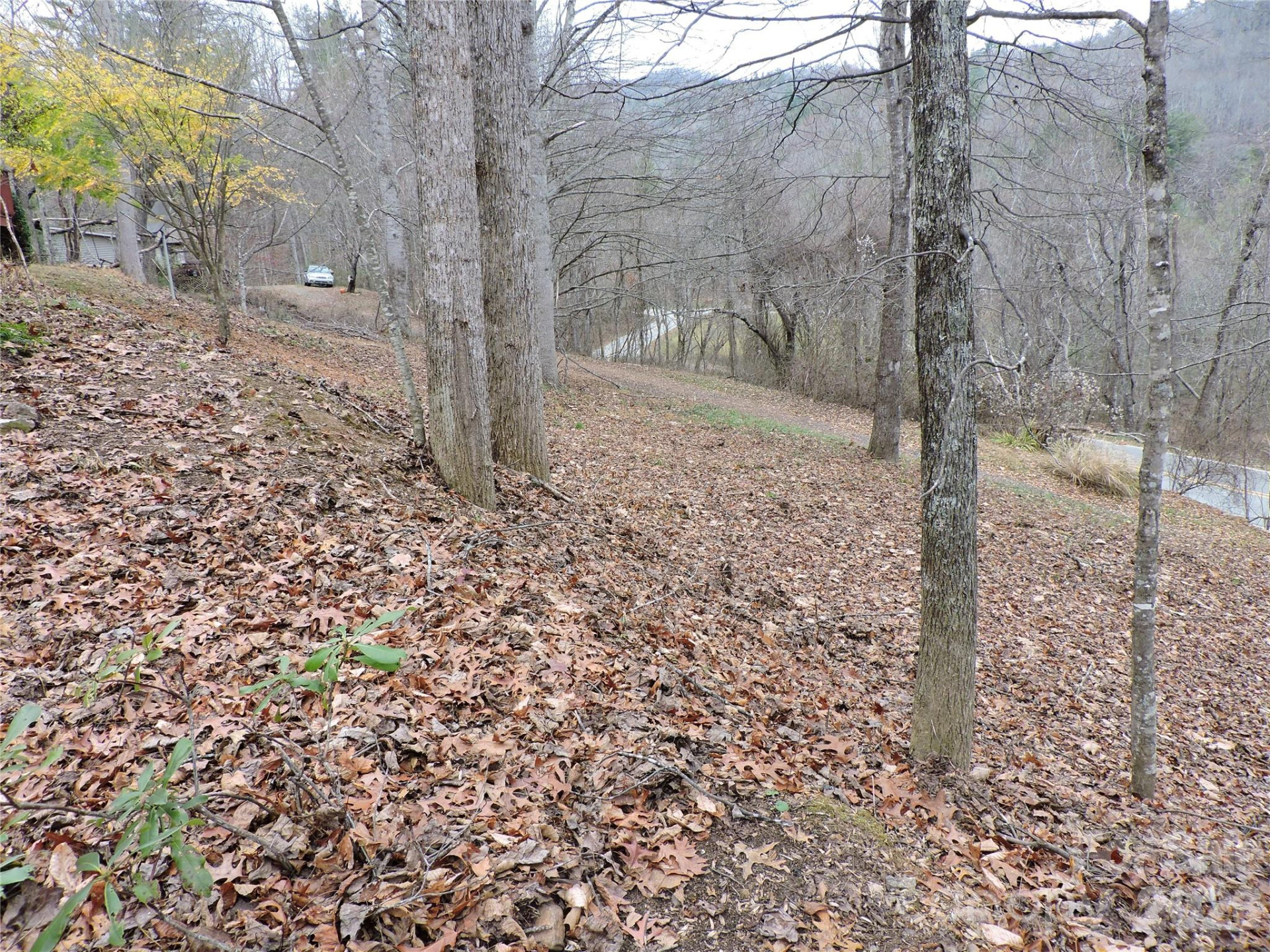 2271 Gouges Creek Road - Photo 34