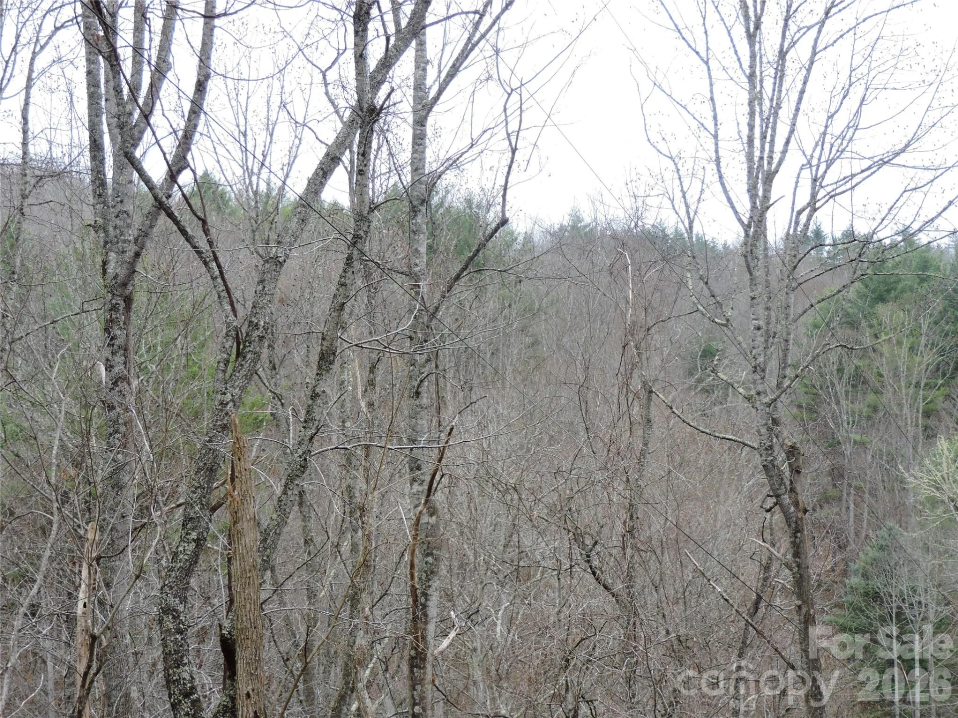 2271 Gouges Creek Road - Photo 35