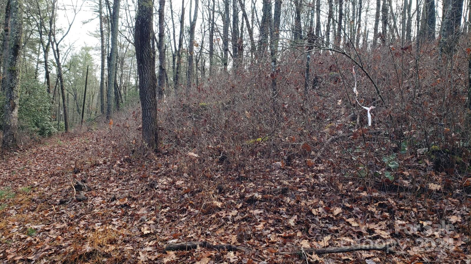 TBD Cedar Lane - Photo 7