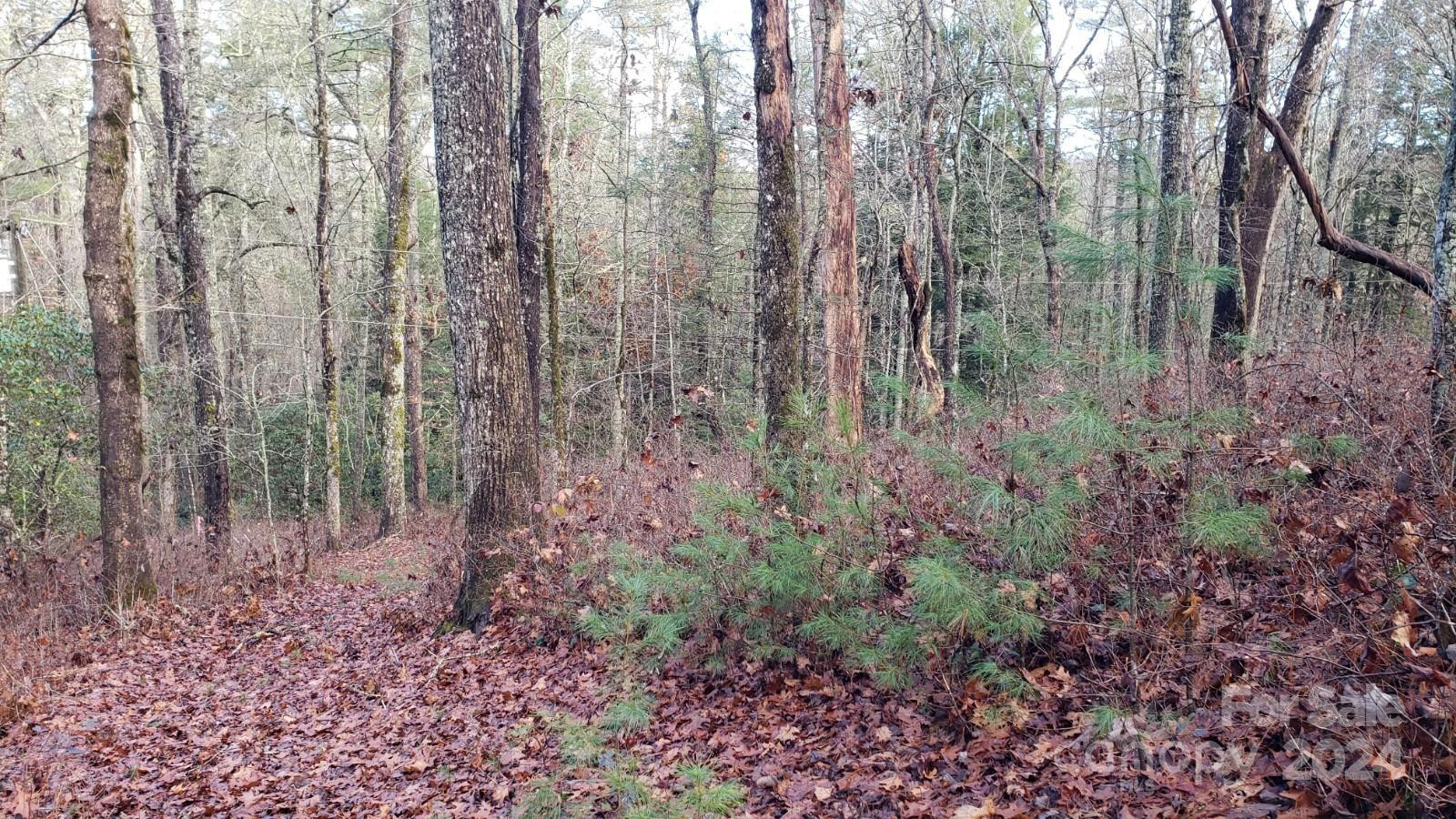 TBD Cedar Lane - Photo 8