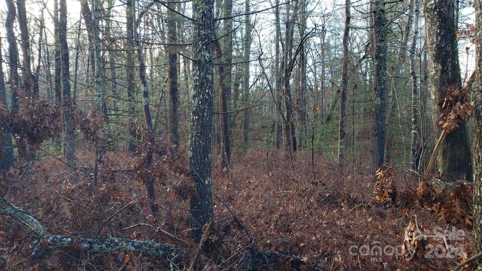 TBD Cedar Lane - Photo 9