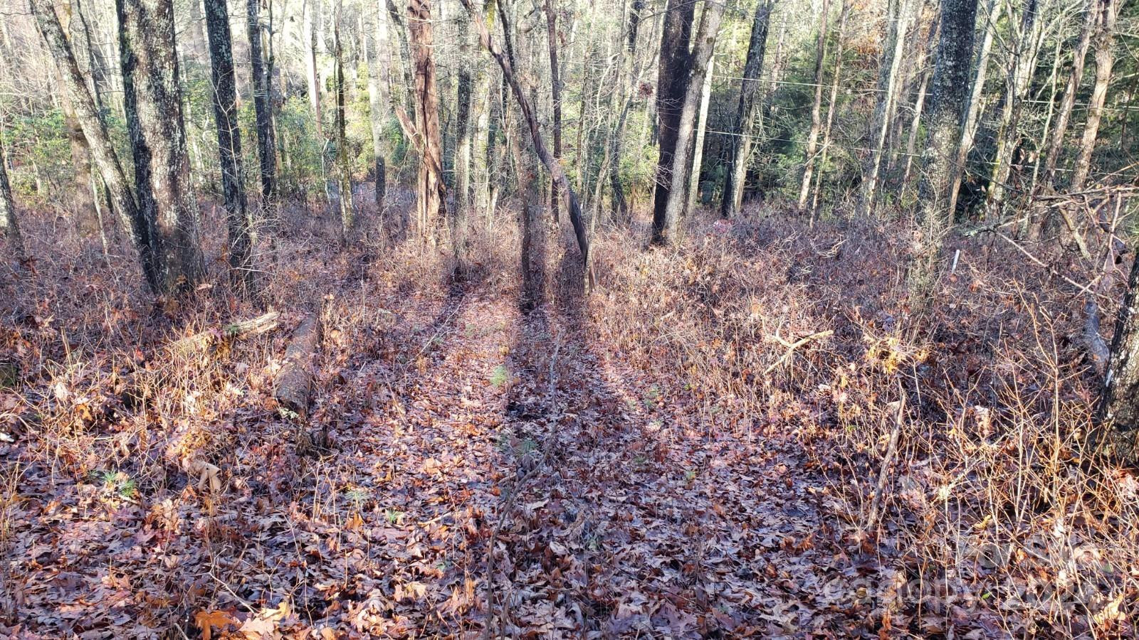 TBD Cedar Lane - Photo 10