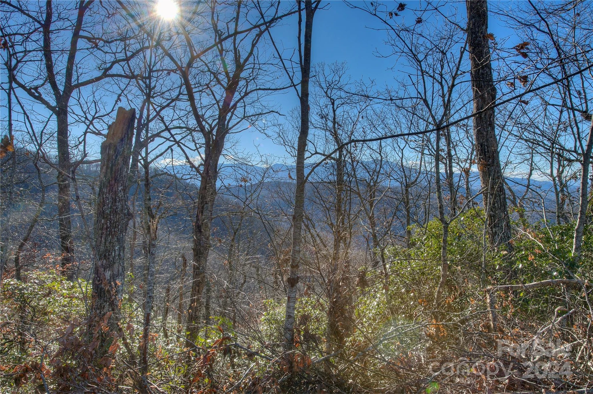 0 Arrowhead Ridge Road - Photo 12
