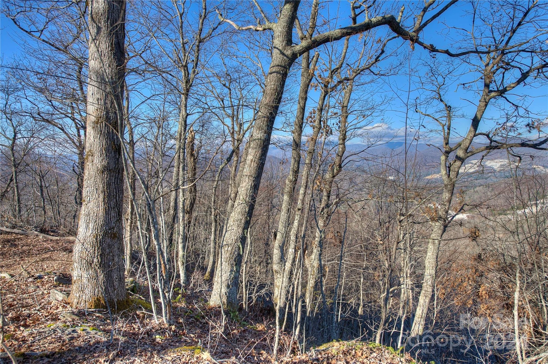 0 Arrowhead Ridge Road - Photo 13